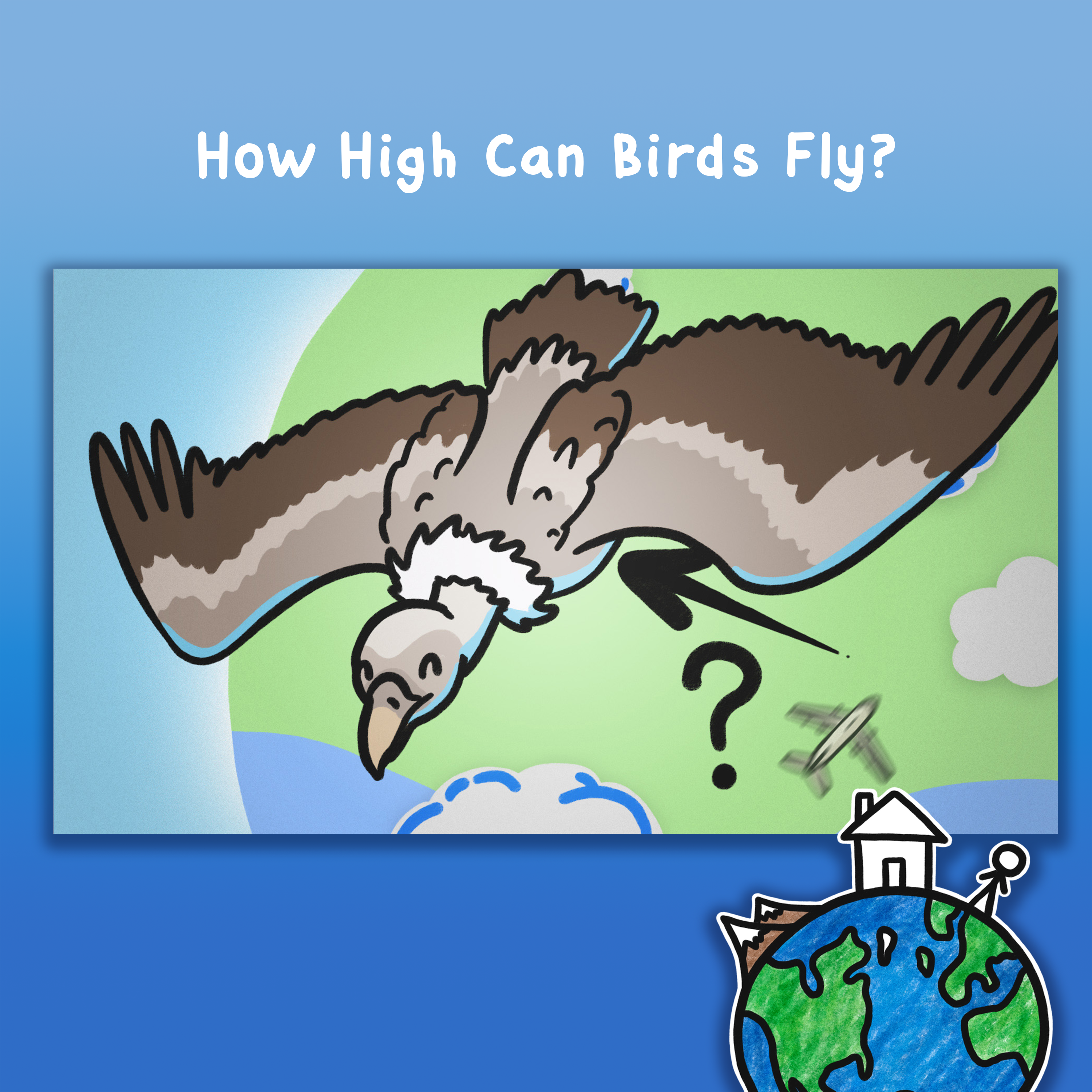 How High Can Birds Fly?