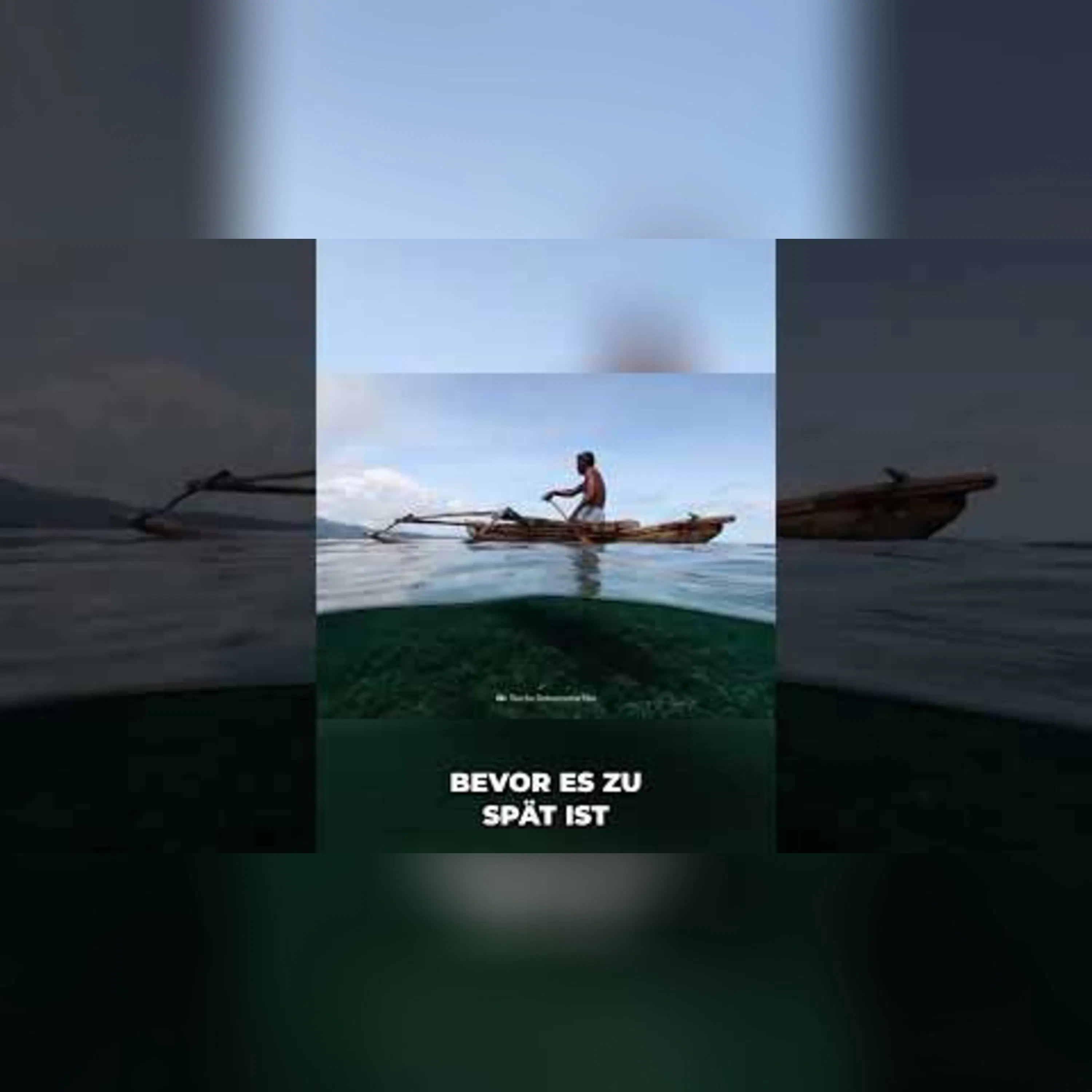 Chironex fleckeri Das tödlichste Meerestier der Welt #shorts Chironex fleckeri Das tödlichste Meerestier der Welt #shorts