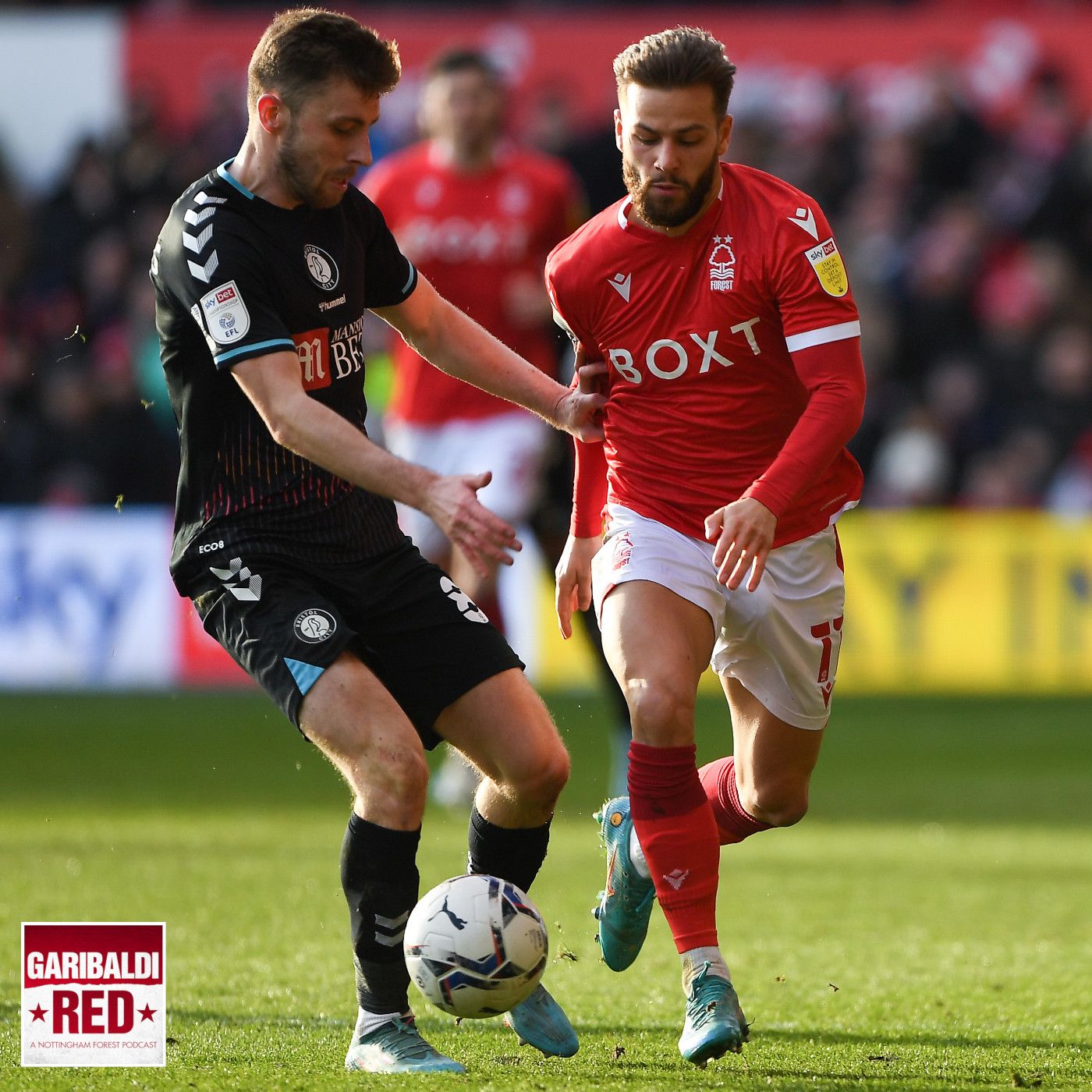 Garibaldi Red Podcast #120 | FOREST MAINTAIN PLAY-OFF PUSH episode artwork