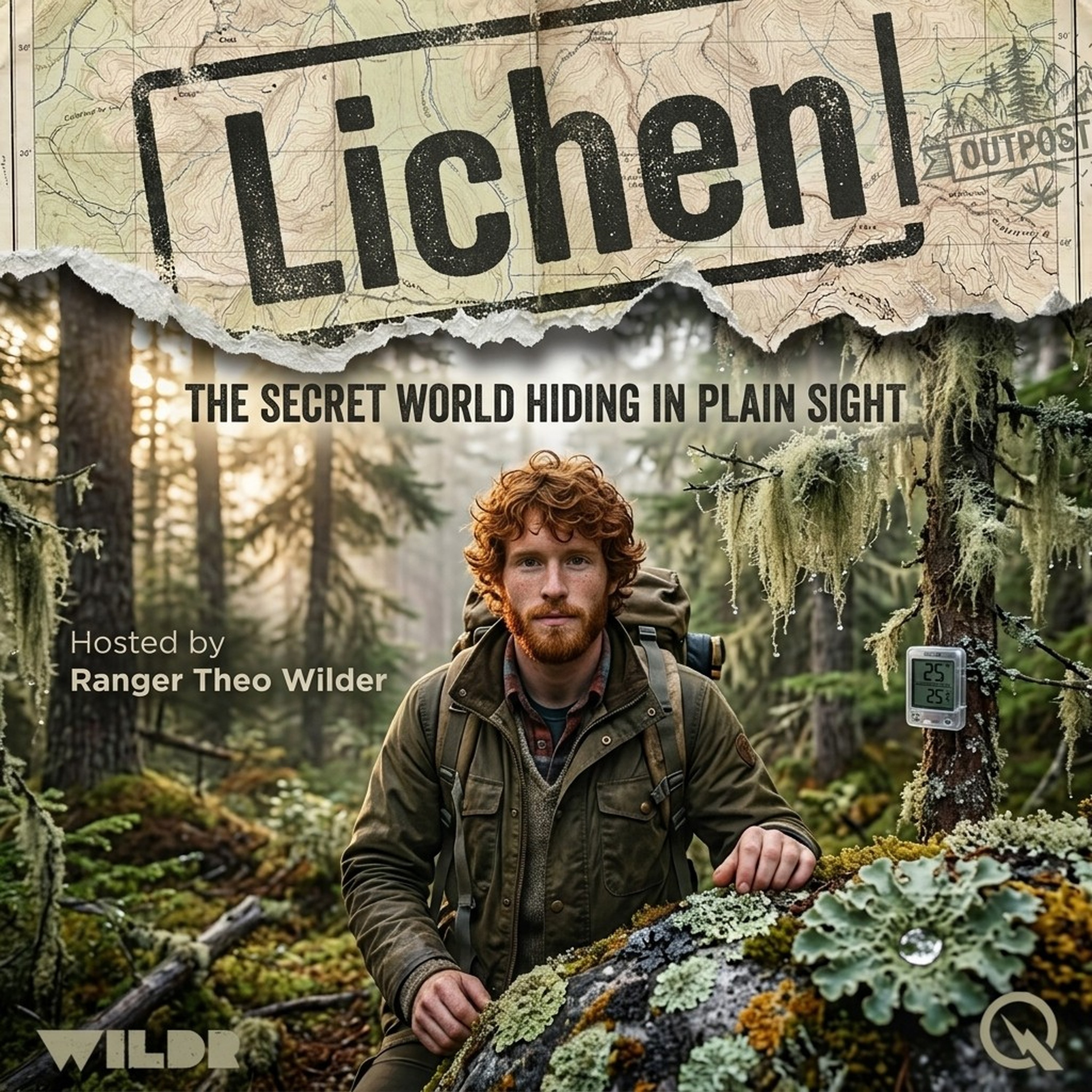 Lichen