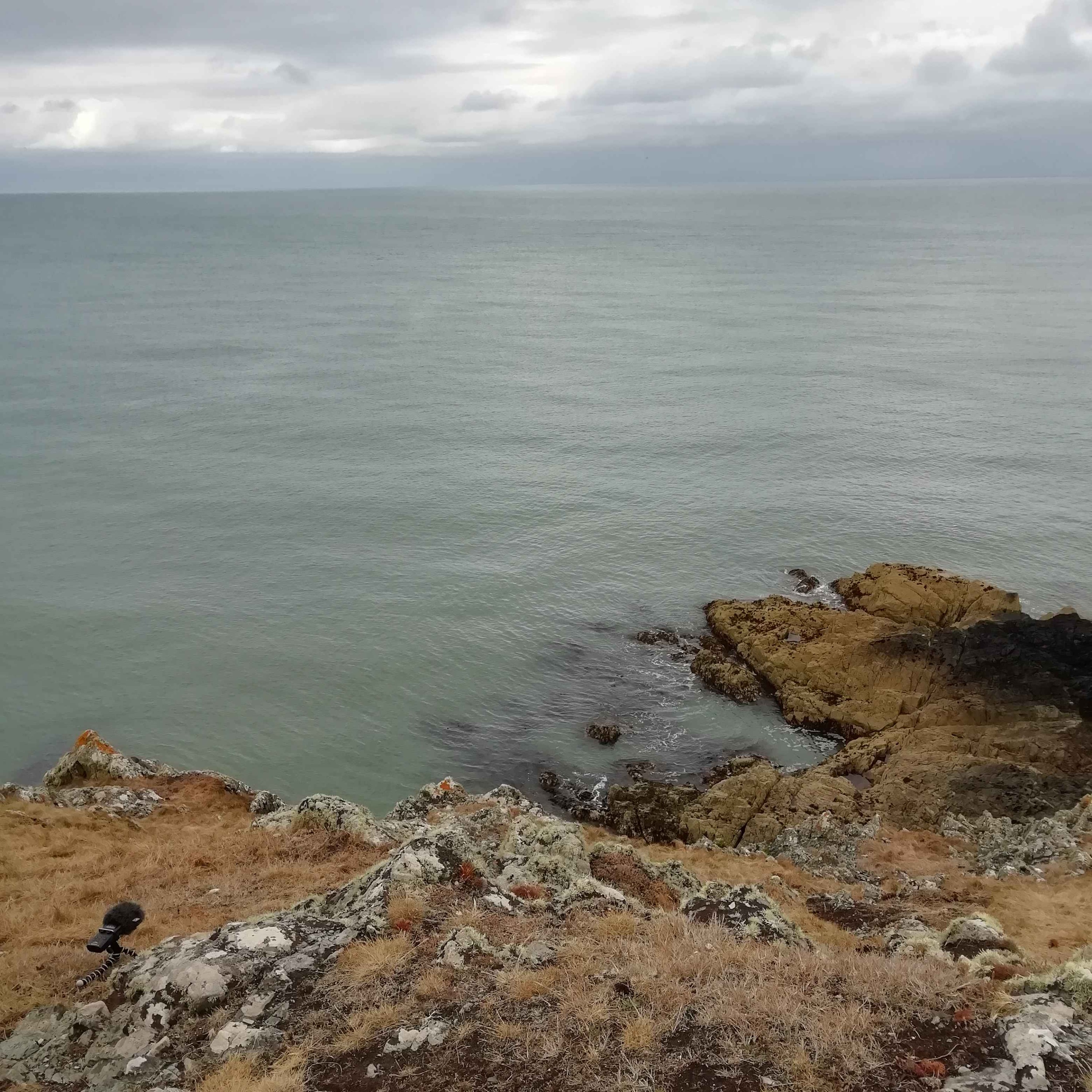 Sound Escape 86: the thrilling sounds when waves meet a rocky headland