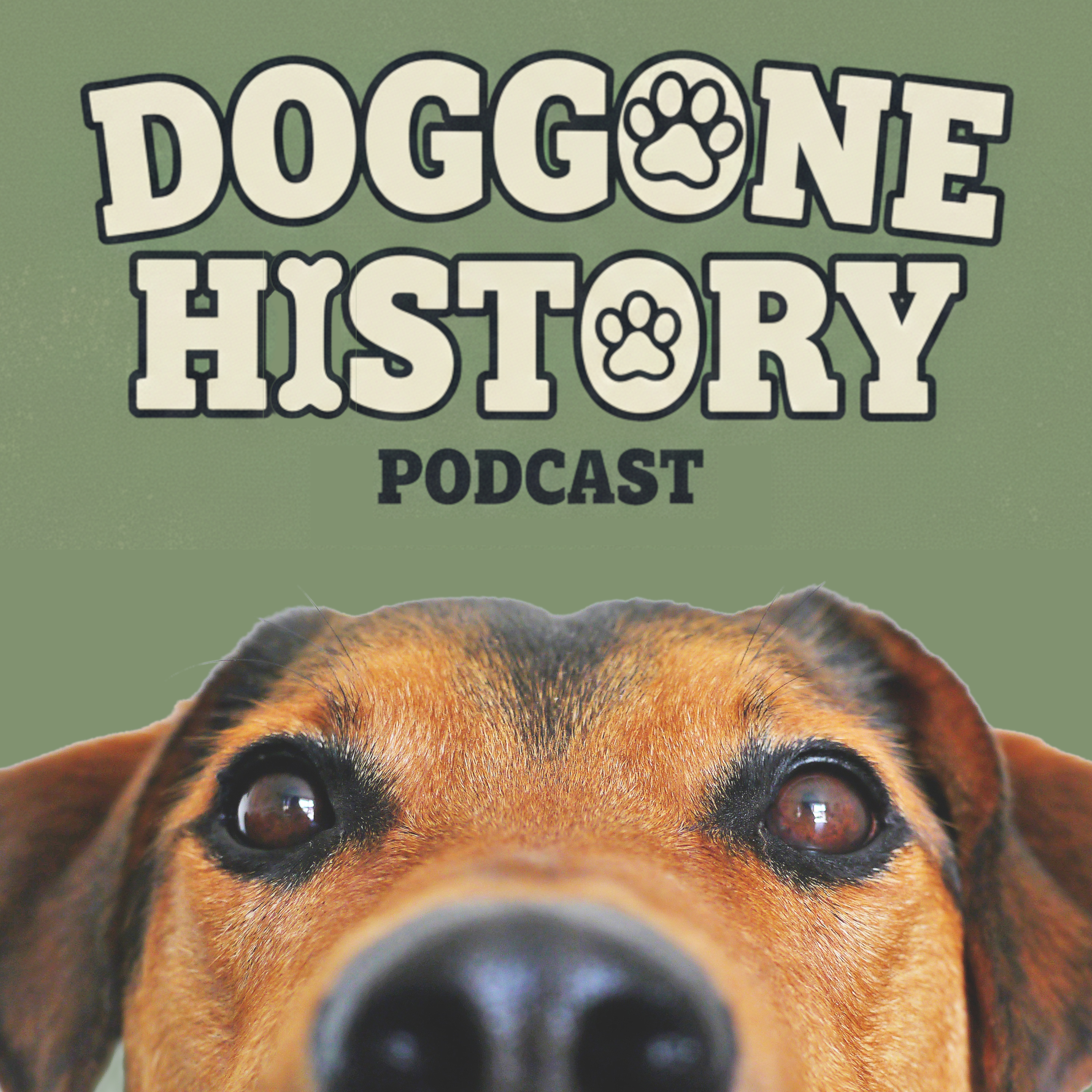 Introducing Doggone History!