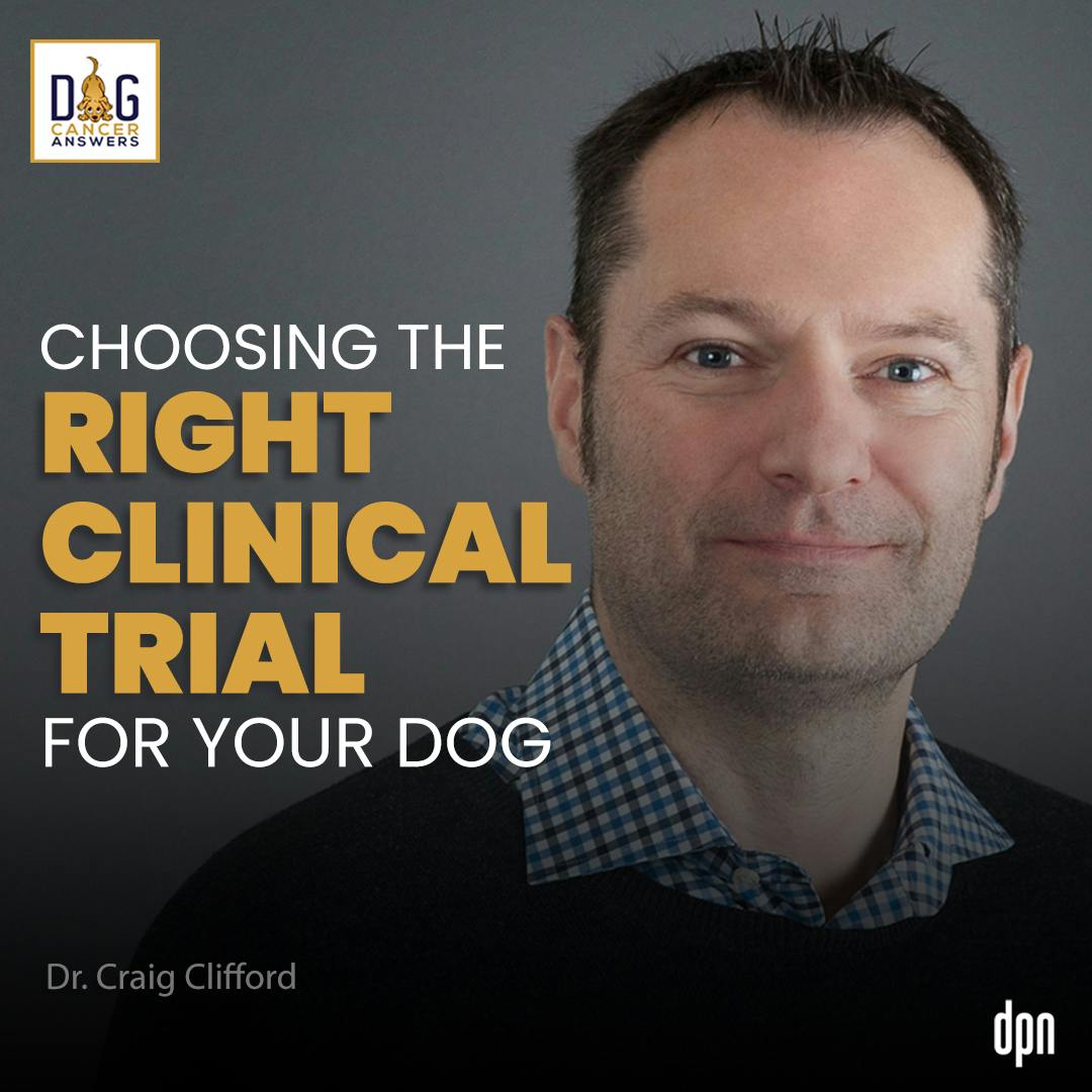 Choosing the Right Clinical Trial for Your Dog | Dr. Craig Clifford Deep Dive