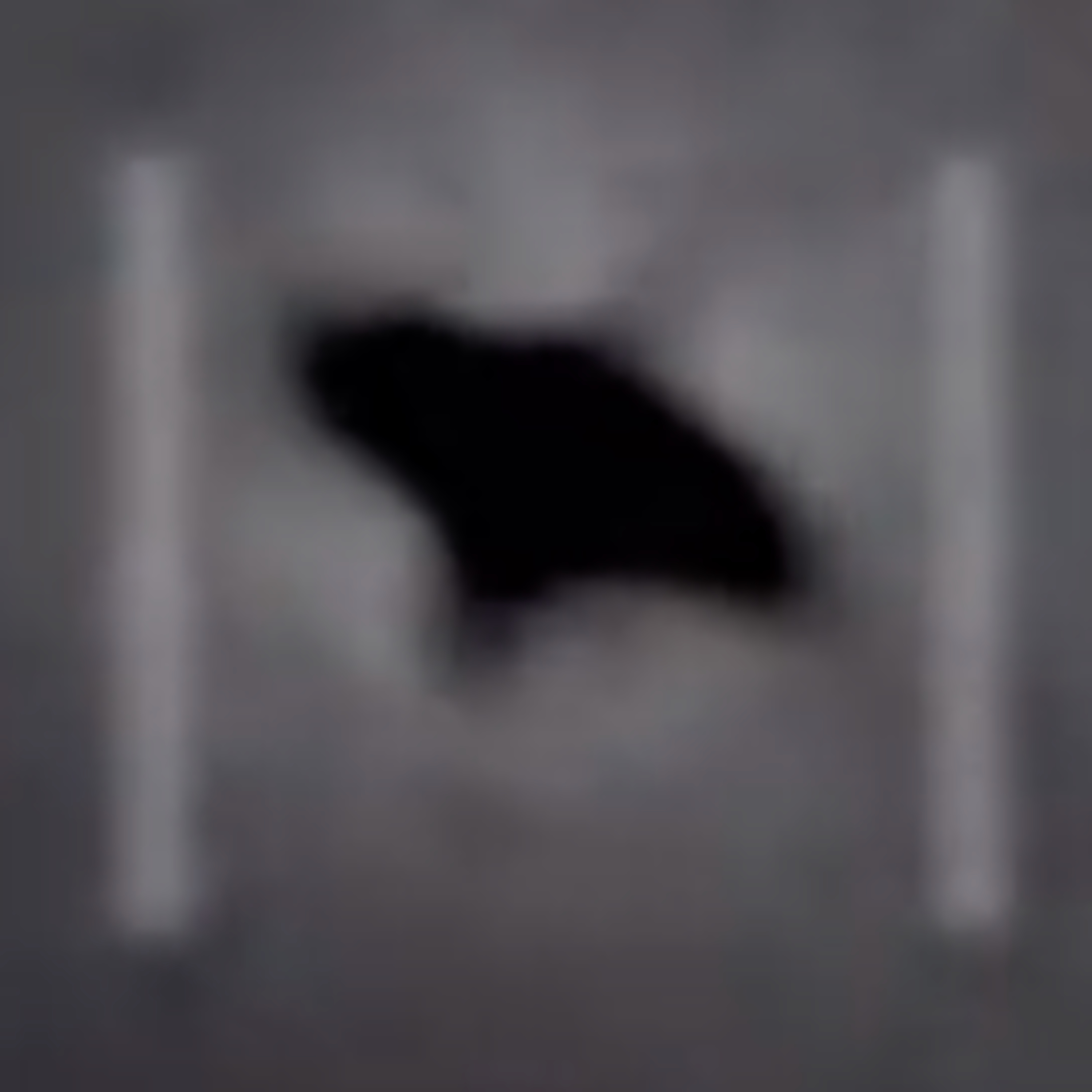 Crawlspace - True Crime & Mysteries