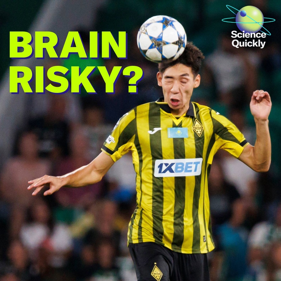 Vaccine Shakeups, Brain Injury Warnings and Boozy Chimps