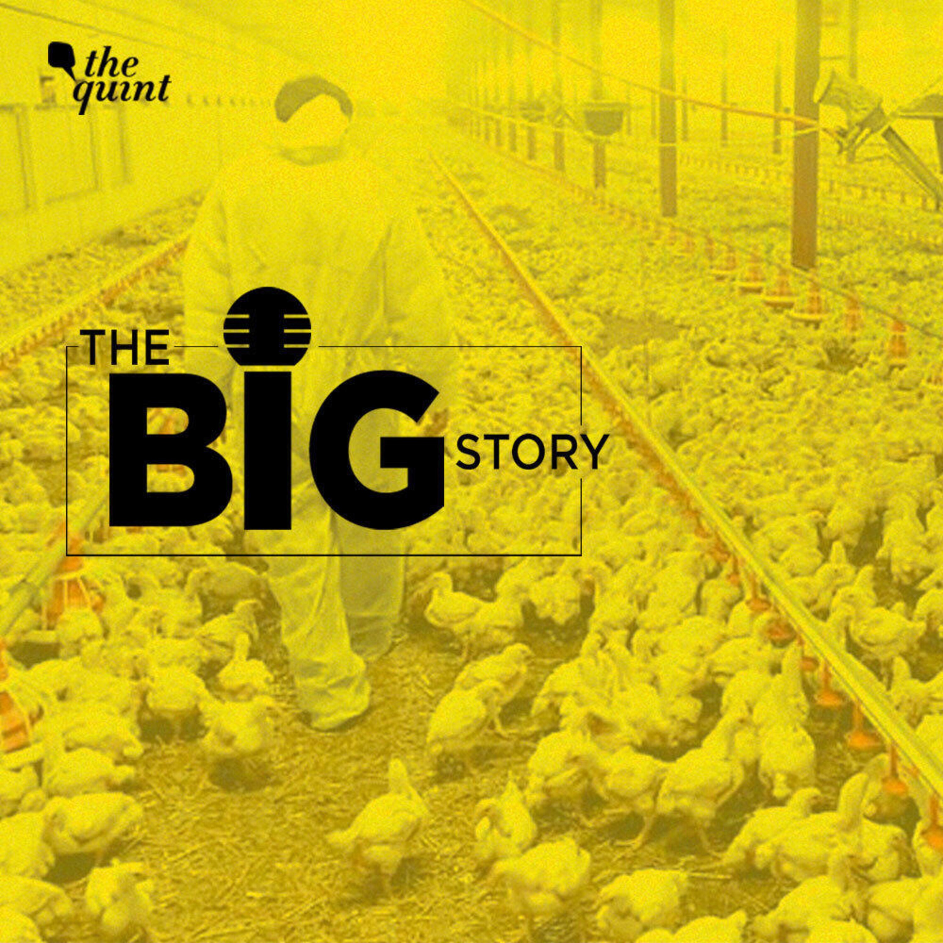 Bird Flu Infections Rare in Humans Yet a Public Health Concern