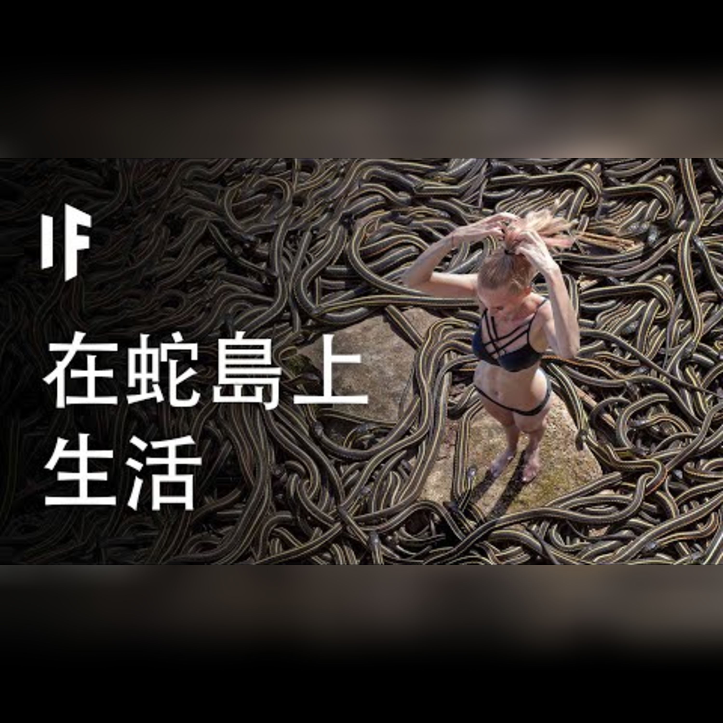 如果你在蛇島上度過一個月【中文字幕】｜大膽科學 episode artwork