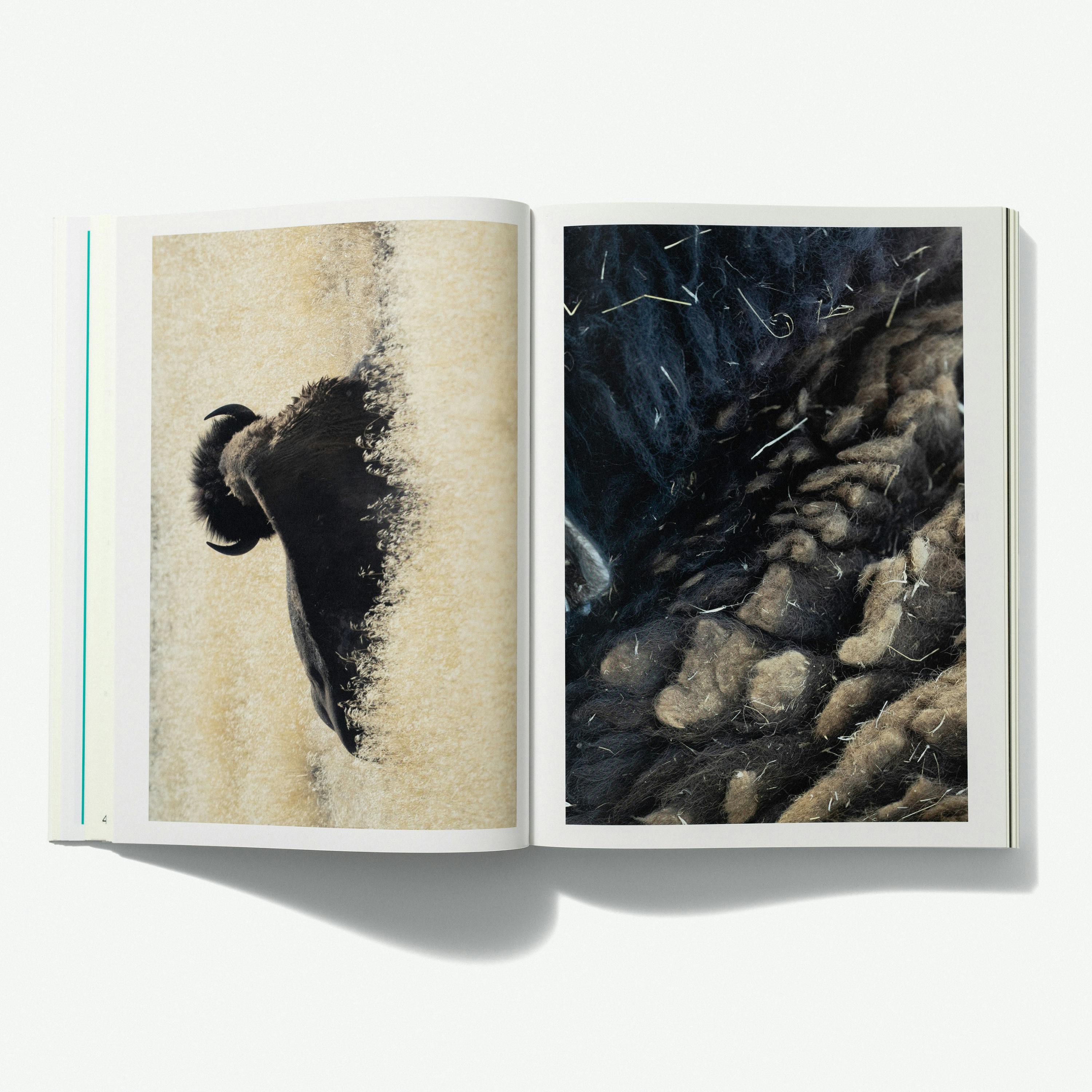 The Heart of Requiem — A Conversation with Susan Murphy Roshi, Terry Tempest Williams, and Emmanuel Vaughan-Lee podcast