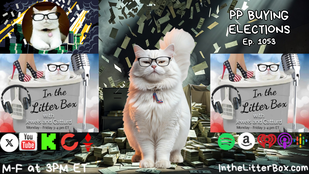 PP BUYING ELECTIONS | In the Litter Box w/ Jewels & Catturd – Ep. 1053 – 7/10/2026