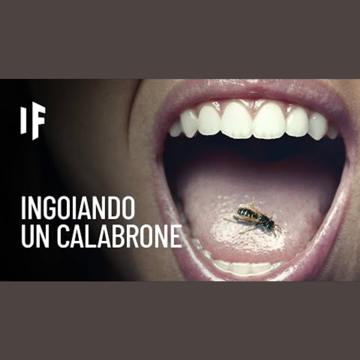 E se ingoiassi un calabrone? episode artwork