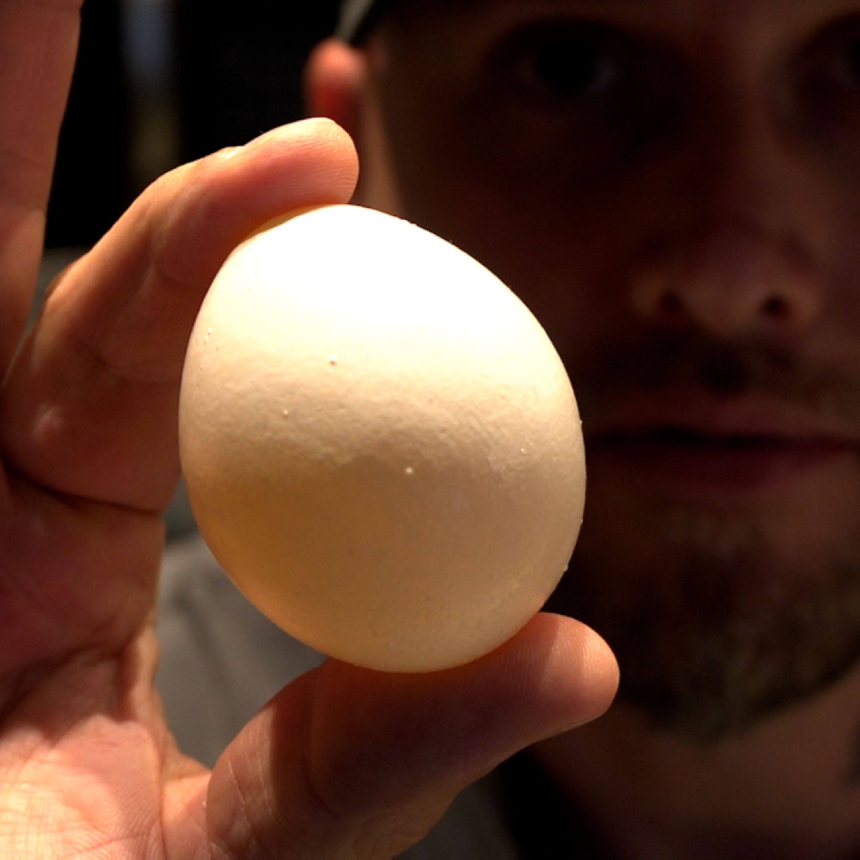 033 Healing the Addicted Brain: Recovery Centers of America