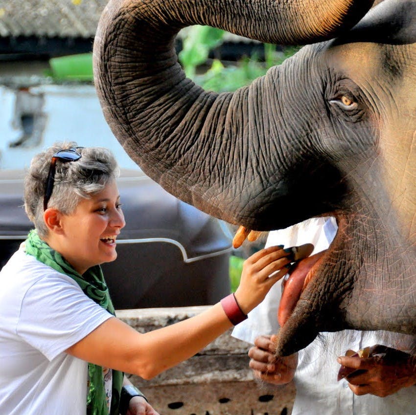 Sri Lanka'nın Filleri - Gezentibunye Ebru Anlatıyor