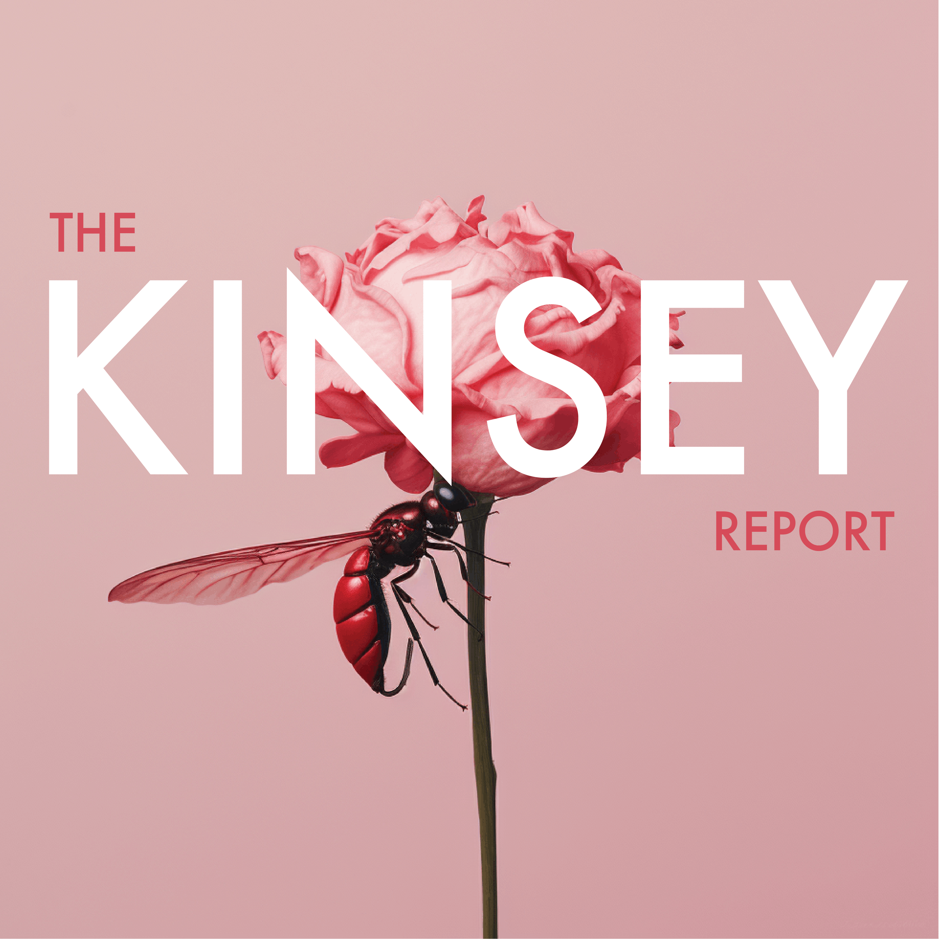 The Kinsey Report – Part 2