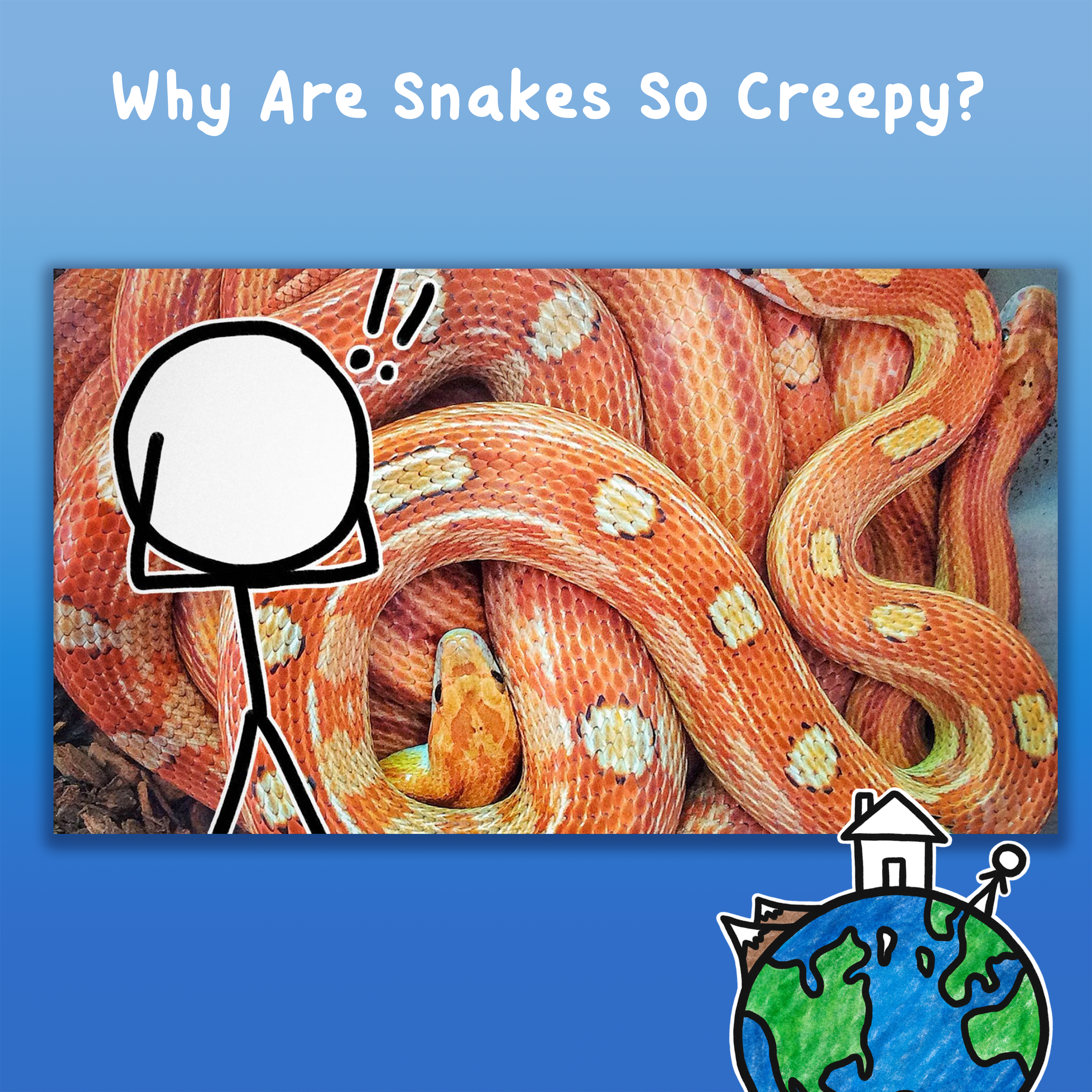 Why Are Snakes So Creepy?