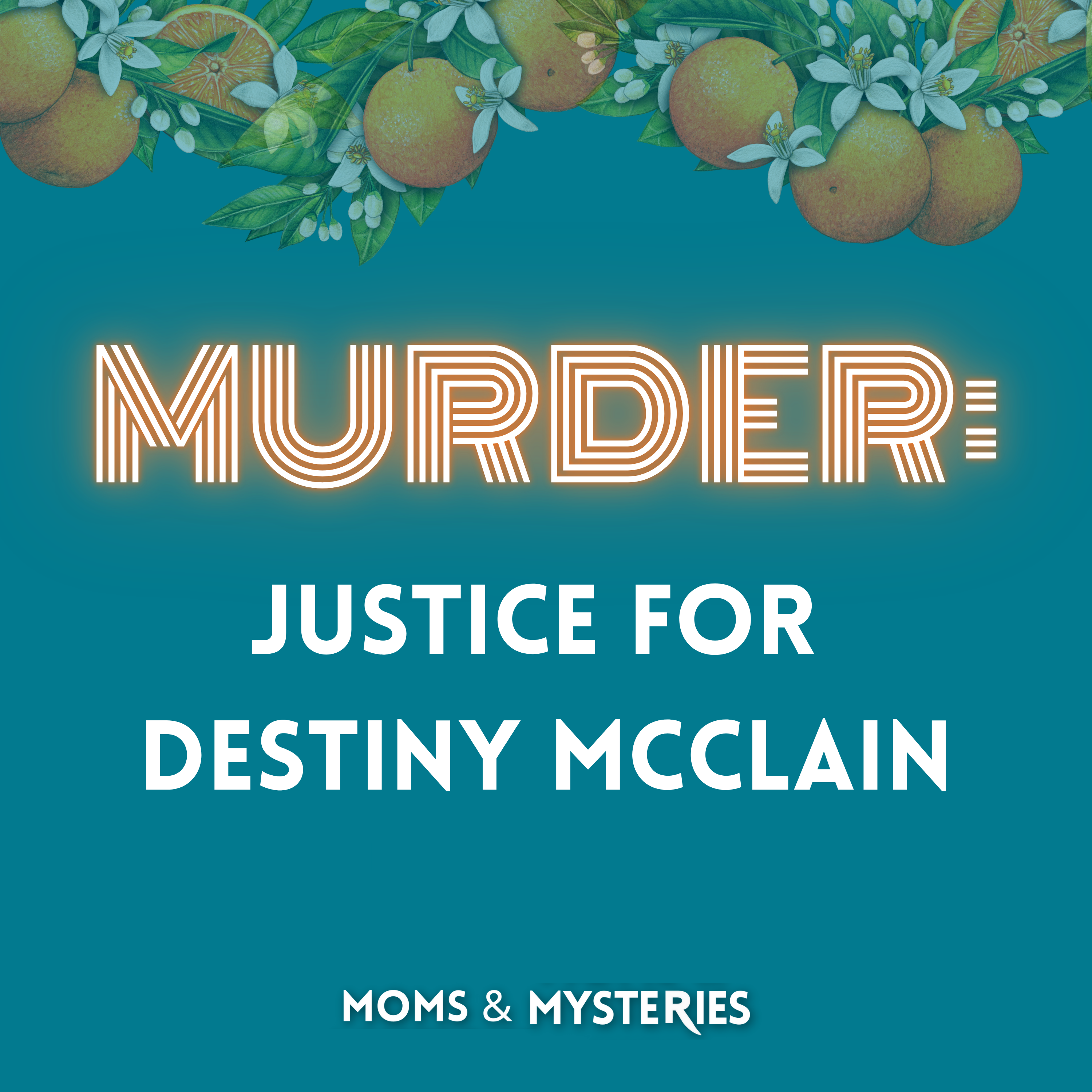 Justice for Destiny McClain: Taco Truck Shooting