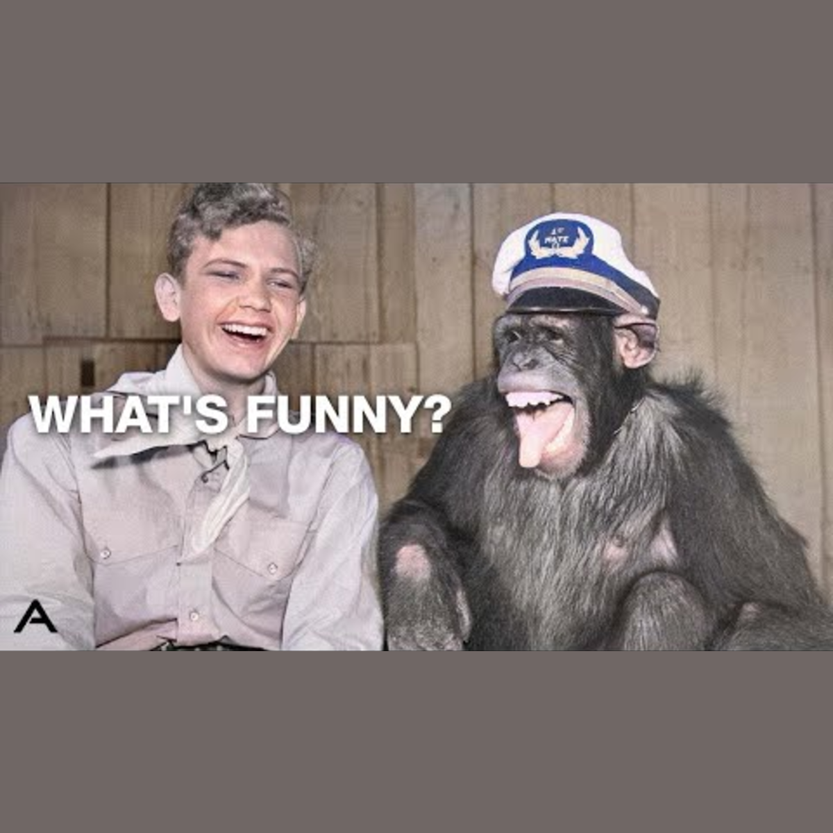 Exploring the Science Behind Laughter episode artwork