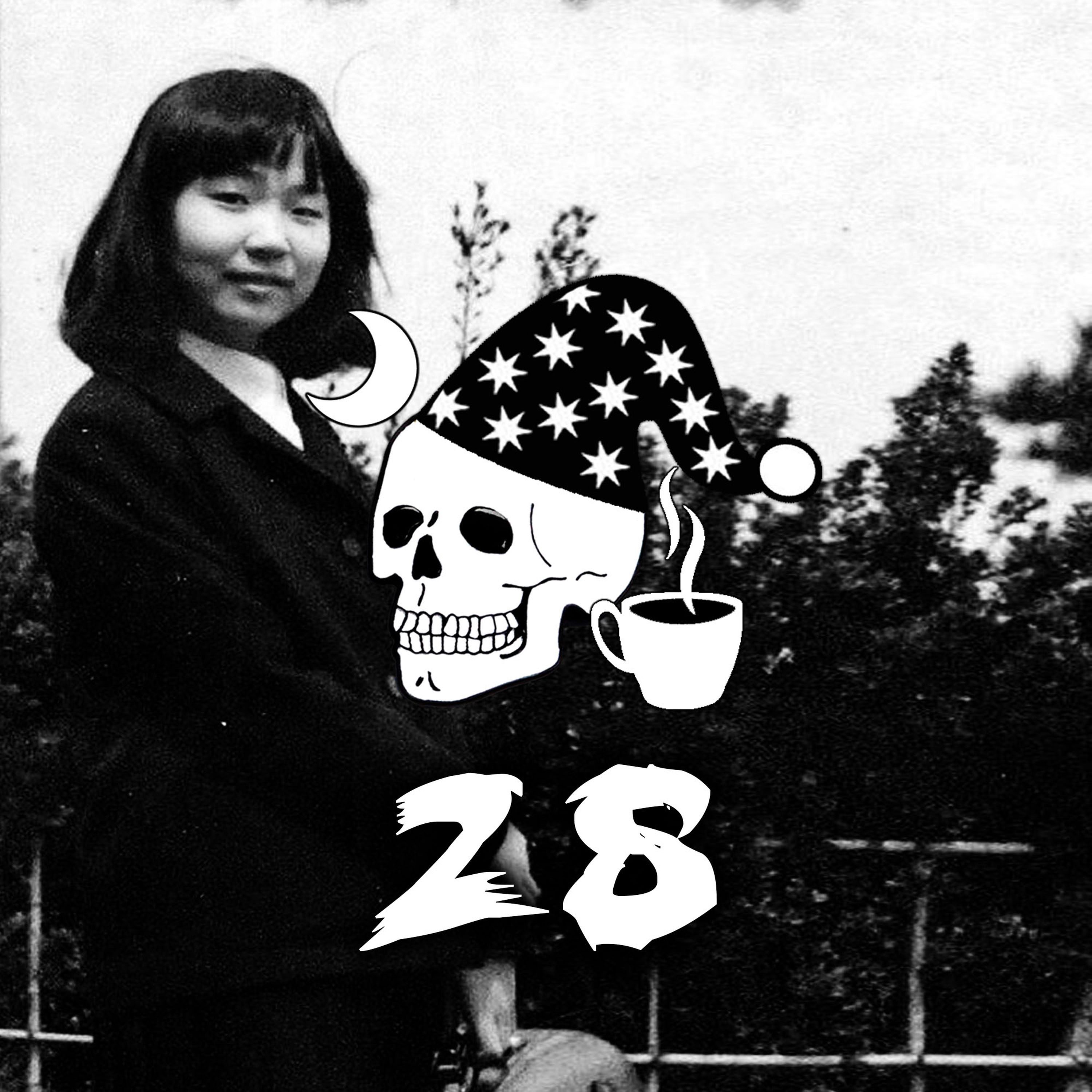 Ep.28: La conspiración de Megumi Yokota, El rapto al autobús escolar
