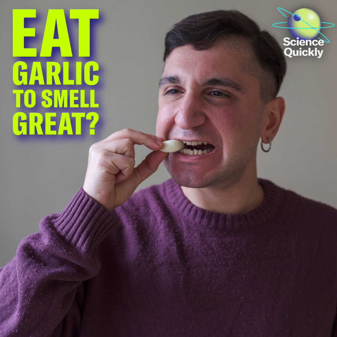 Want to smell more attractive? Try these foods