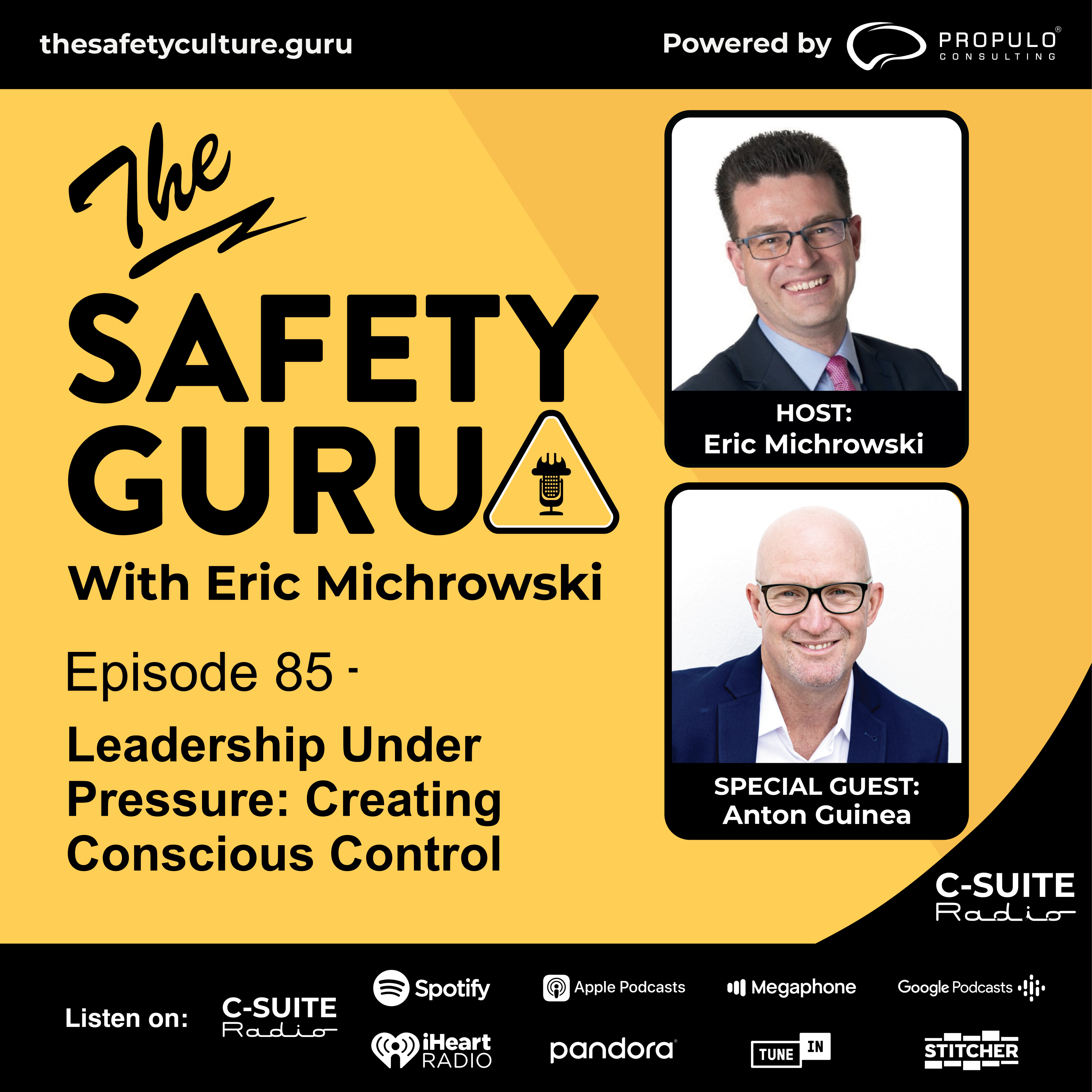 The Safety Guru