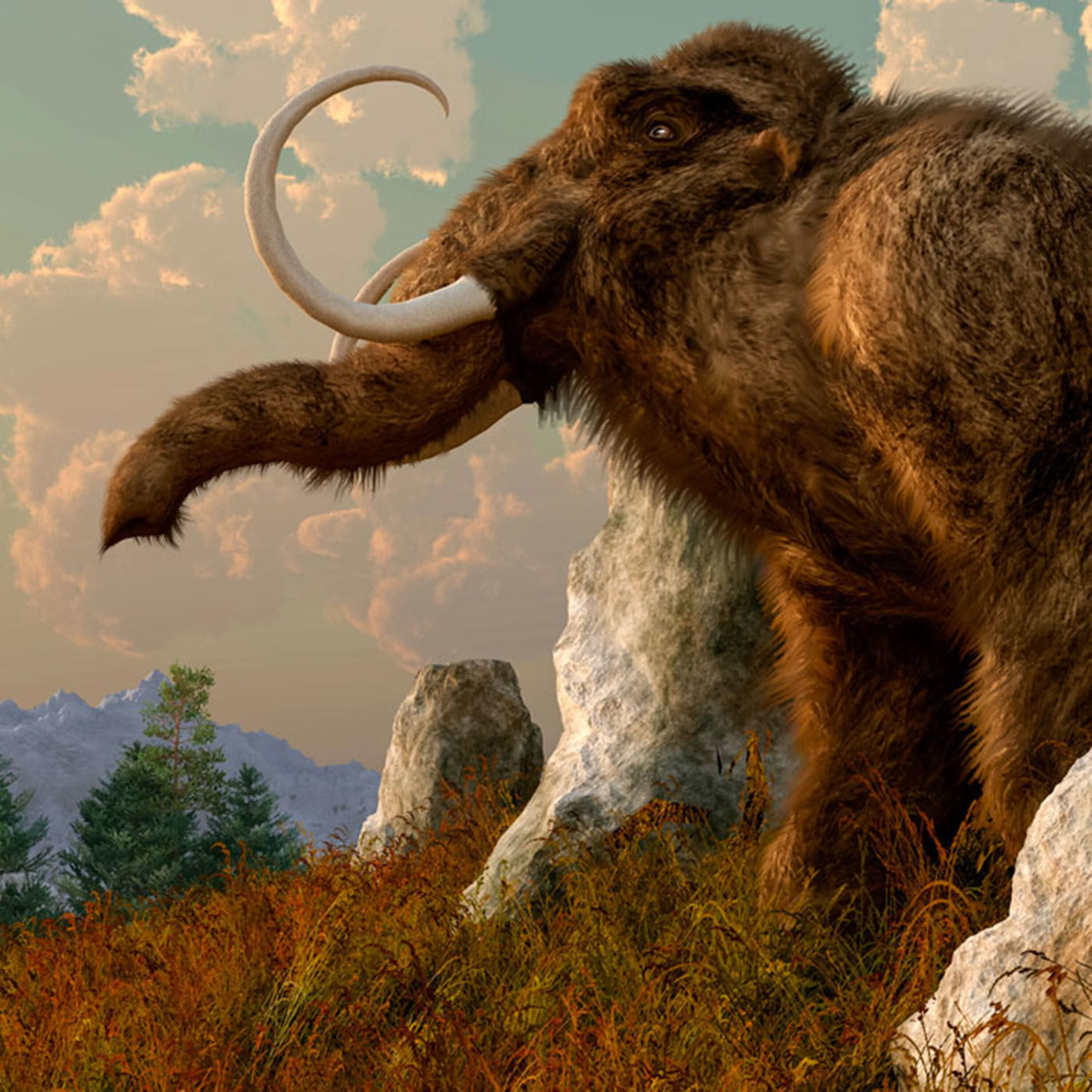 Podcast: Why we murder, resurrecting extinct animals, and the latest on the three-parent baby