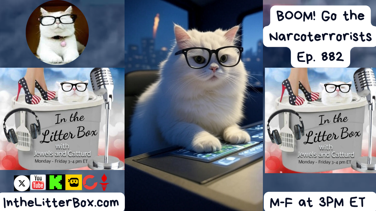 BOOM! Go the Narcoterrorists | In the Litter Box w/ Jewels & Catturd – Ep. 882 9/16/2025