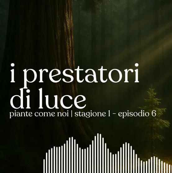 I prestatori di Luce - Stagione 1 | Episodio 6 episode artwork