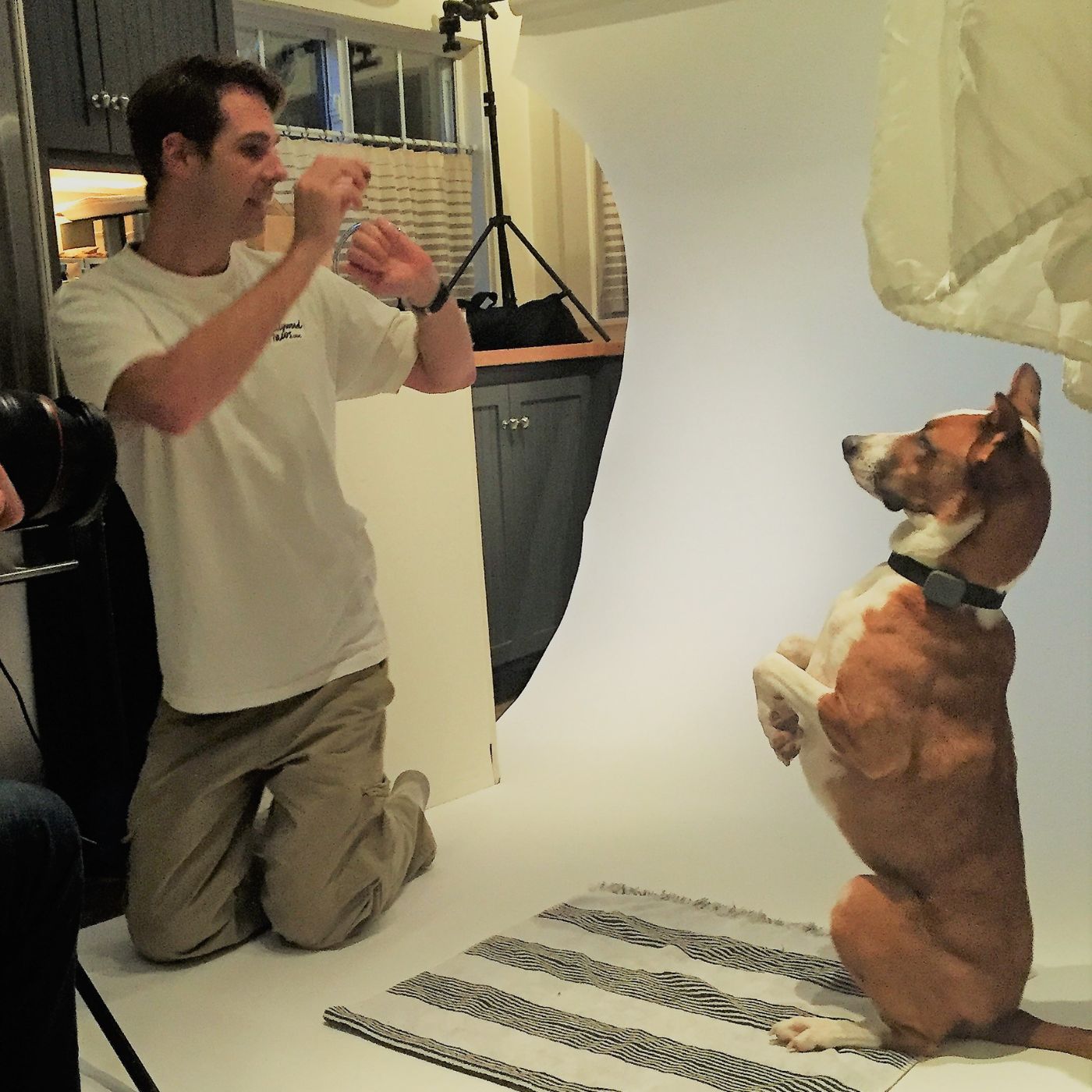 Hollywood Animal Agent Joel Norton