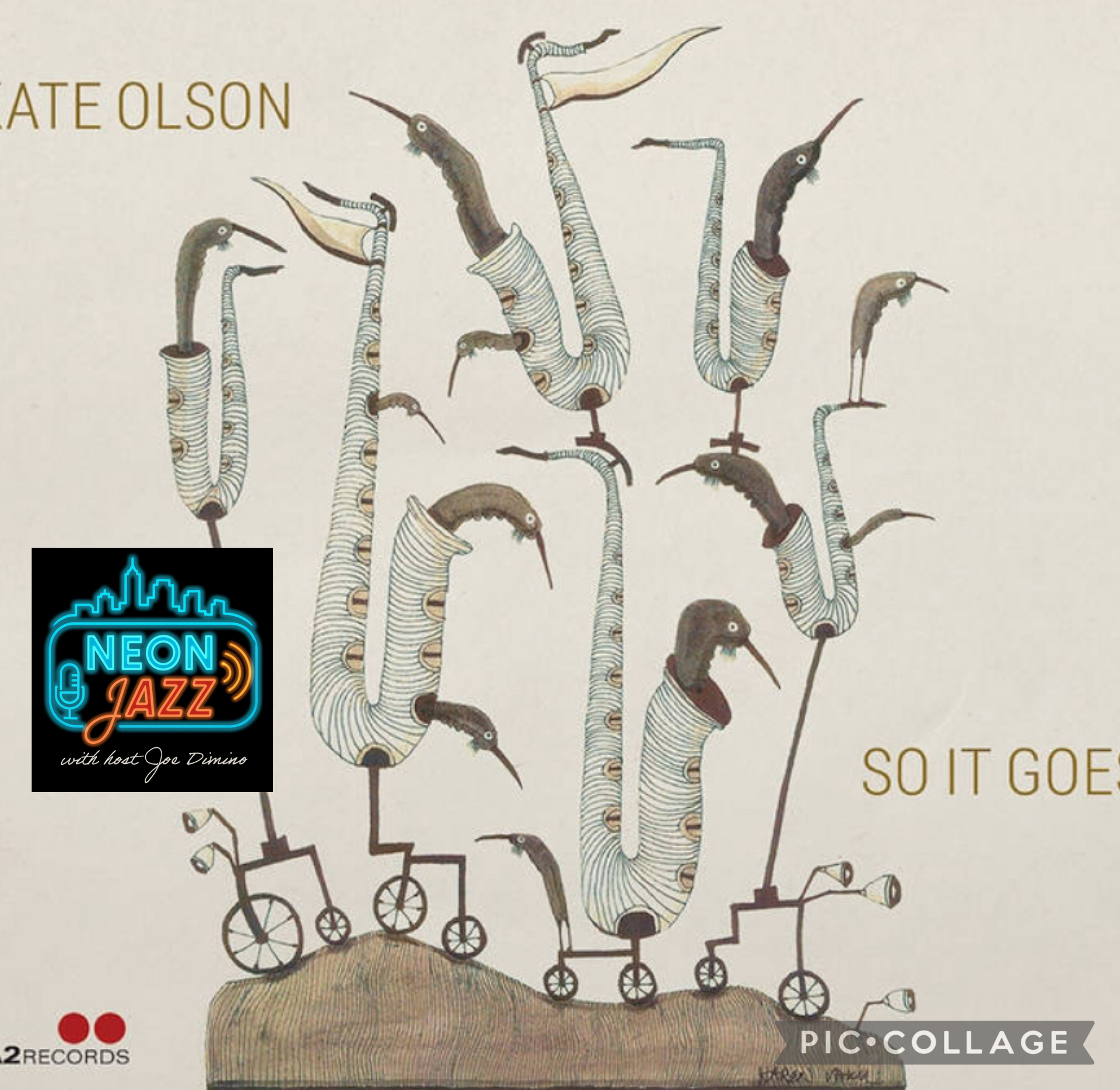 Neon Jazz Interviews