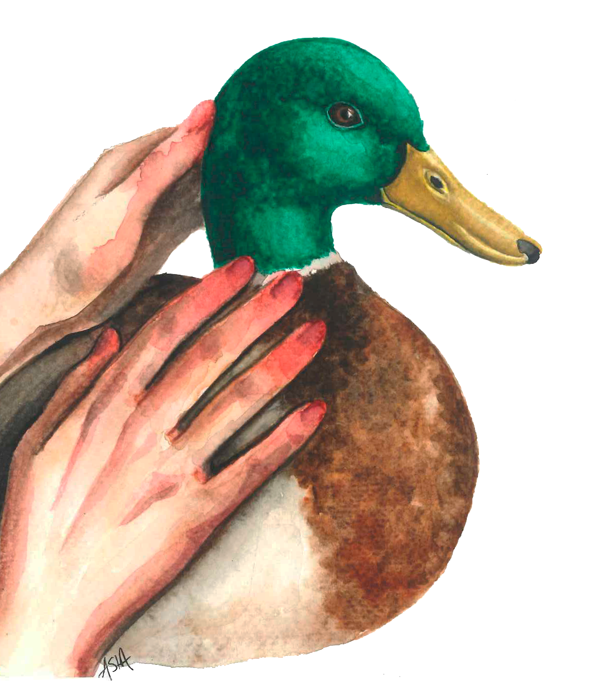 94. El dilema de vivir en la verdad