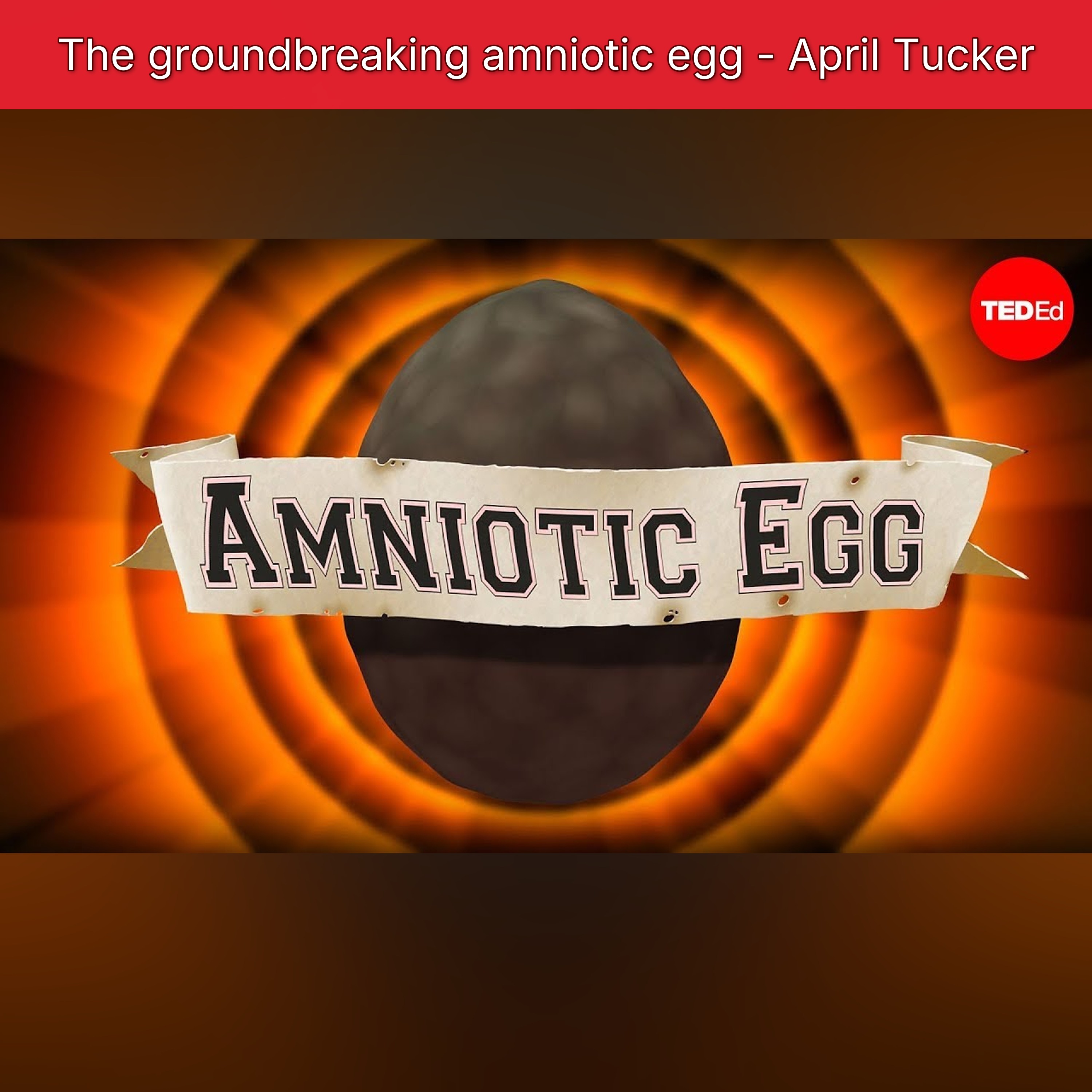 The groundbreaking amniotic egg - April Tucker episode artwork
