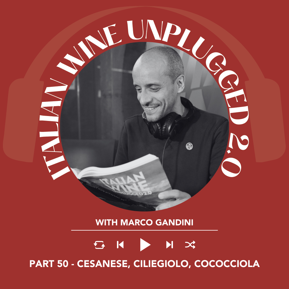 Marco Gandini Narrates Pt. 50 | Italian Wine Unplugged 2.0