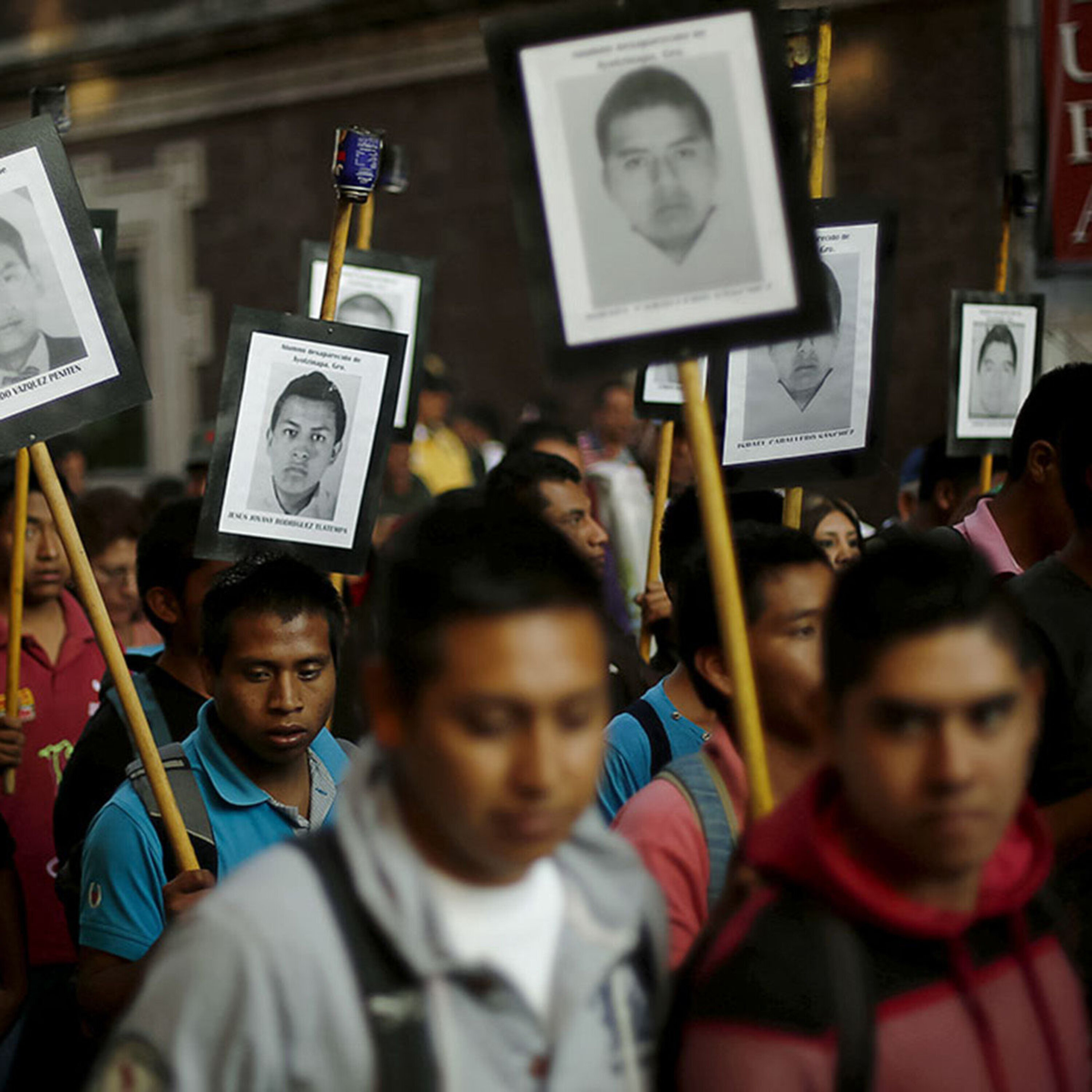 Podcast: A burning body experiment, prehistoric hunting dogs, and seeding life on other planets