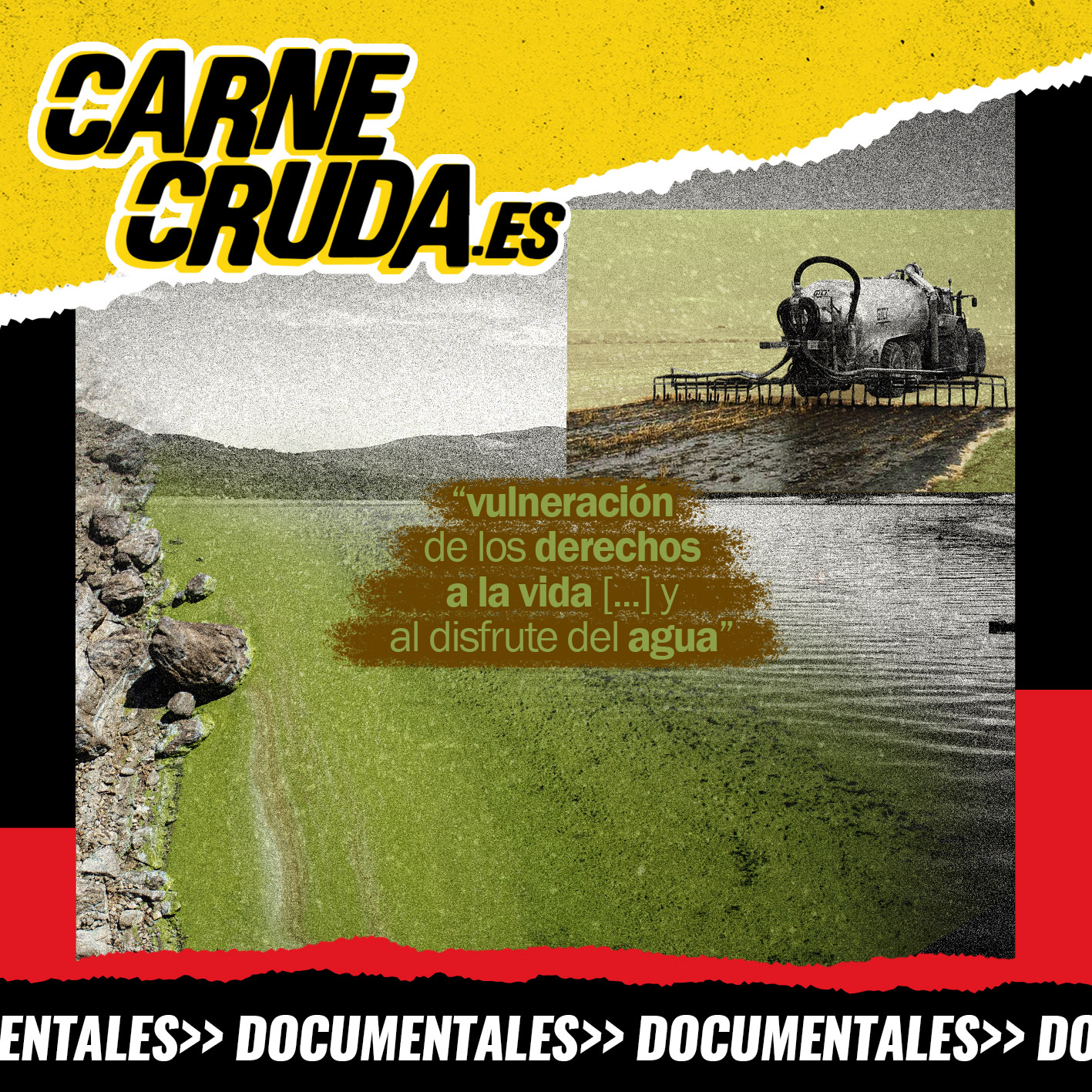 As Conchas: el pueblo que ganó contra el modelo de macrogranjas (#1714 DOCUMENTAL - CARNE CRUDA) episode artwork