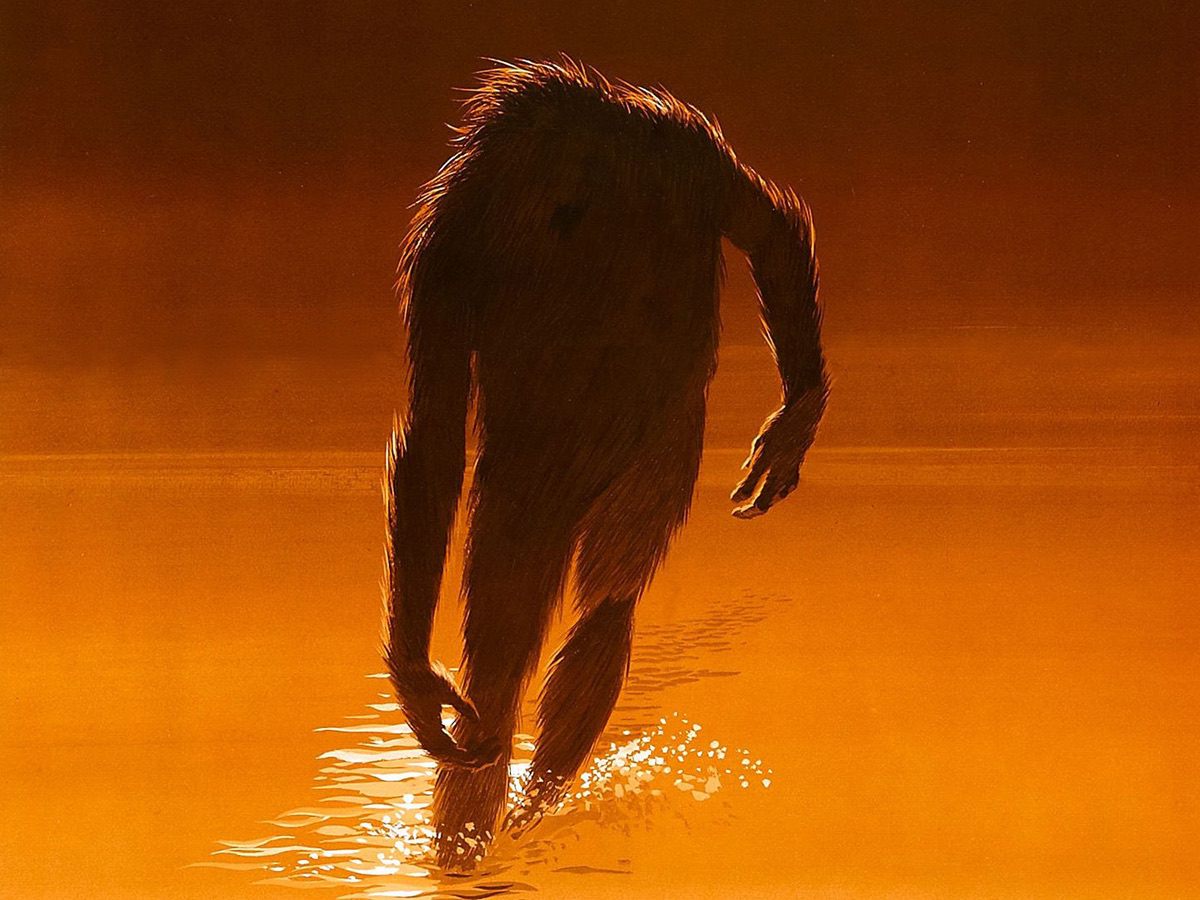 Arkansas Cryptid Road Trip - The Beast of Boggy Creek