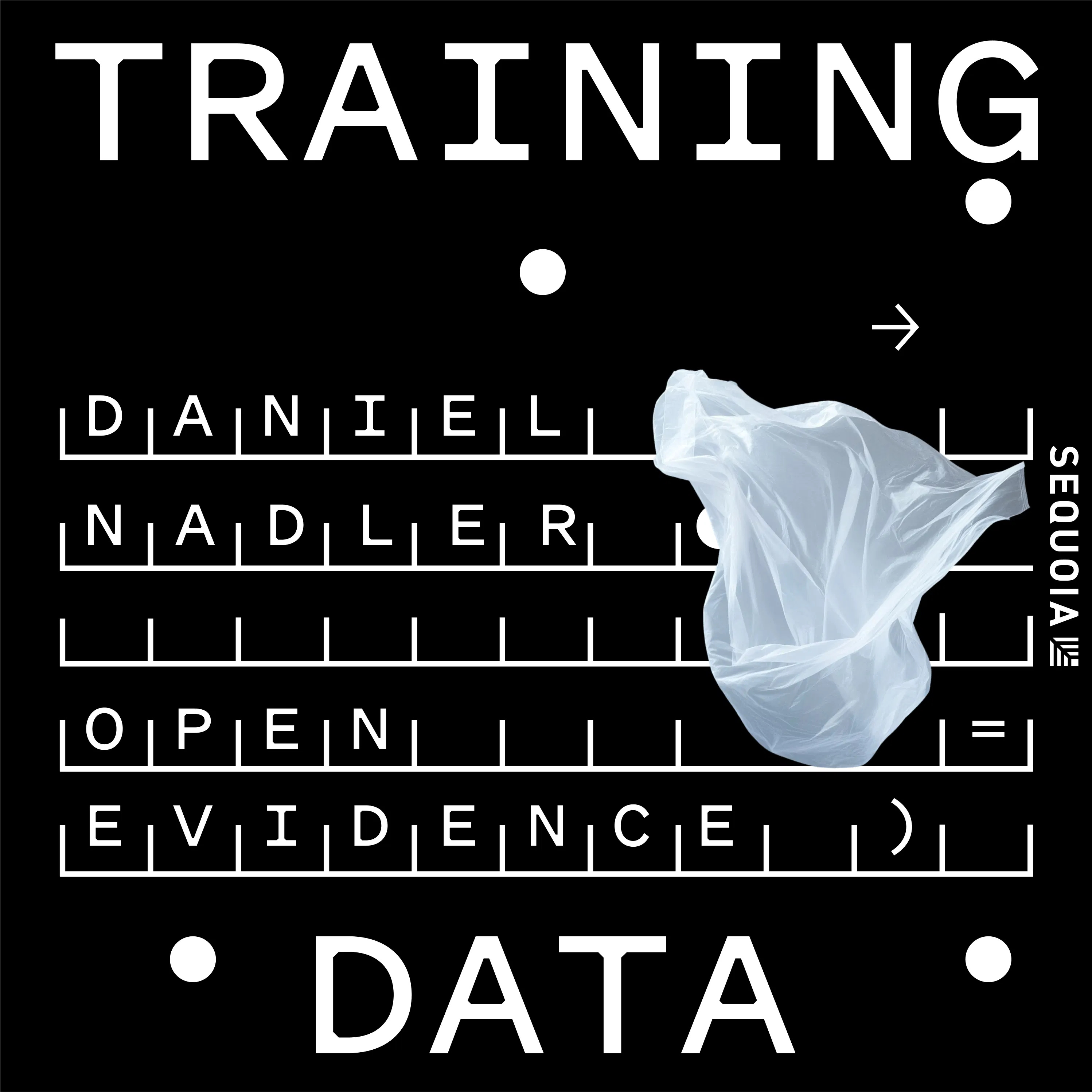 Is This Doctors’ New Favorite AI App? OpenEvidence, with CEO Daniel Nadler Episode cover