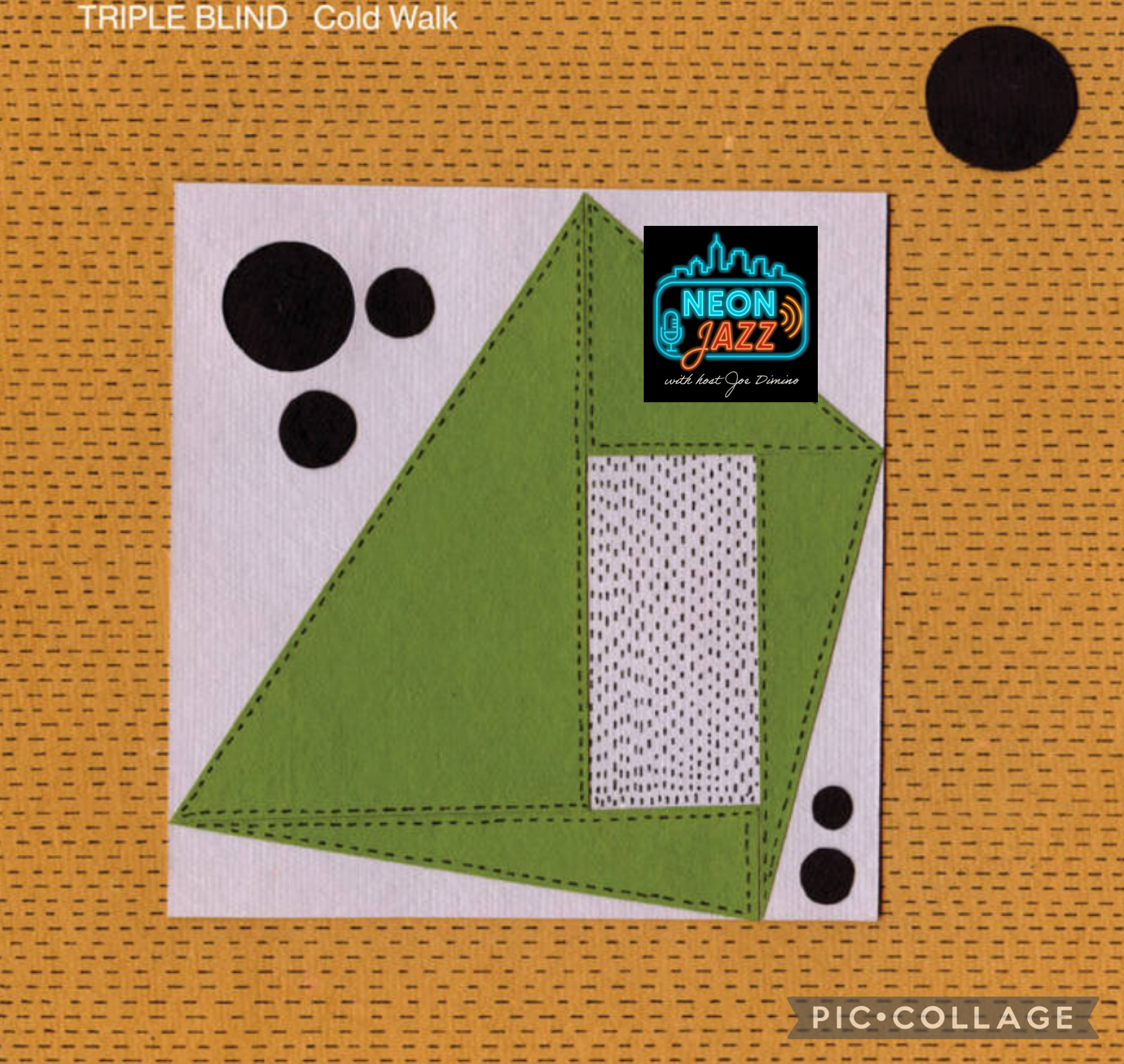 Musicians Kyle Nasser & Nick Jost of the Trio Triple Blind on 2026’s Album Cold Walk