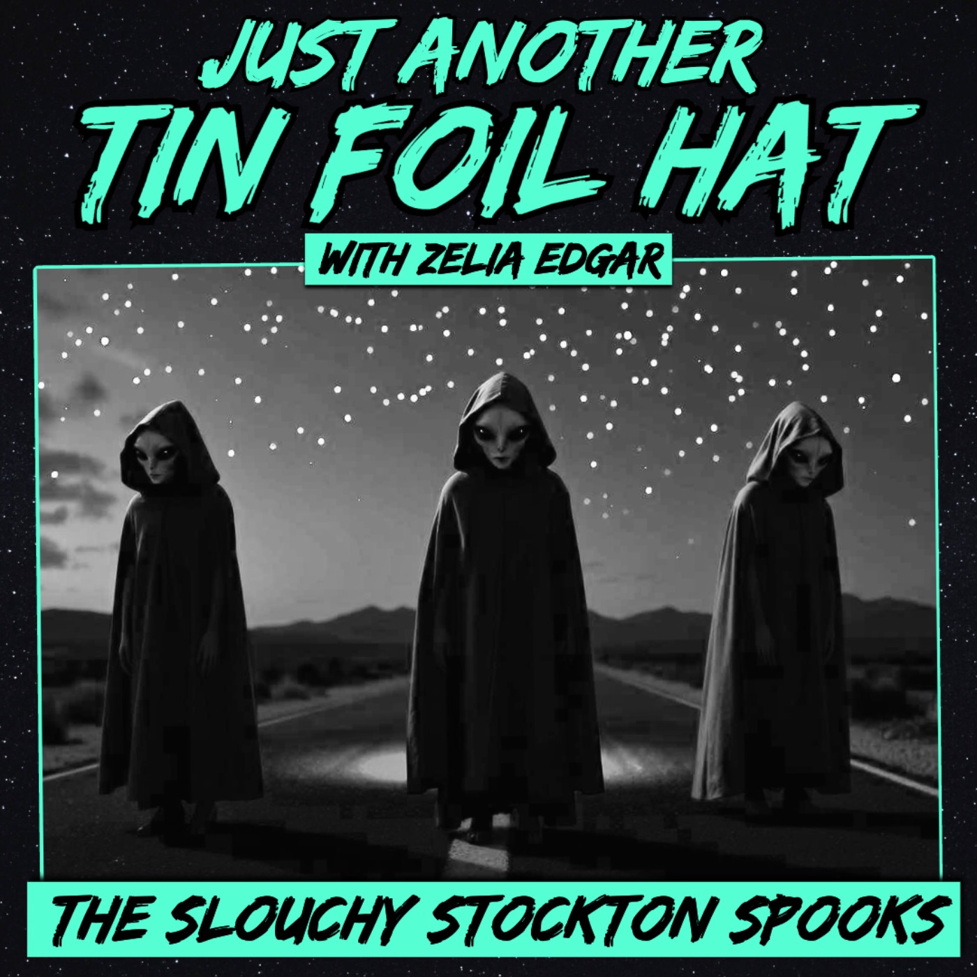Just Another Tin Foil Hat | The Slouchy Stockton Spooks