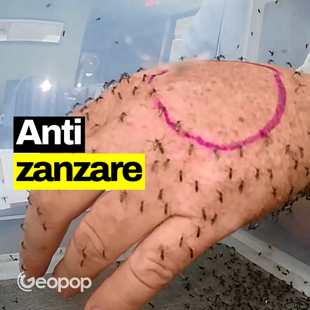 Zampironi, citronella, spray: come funzionano gli antizanzare dal punto di vista chimico-fisico