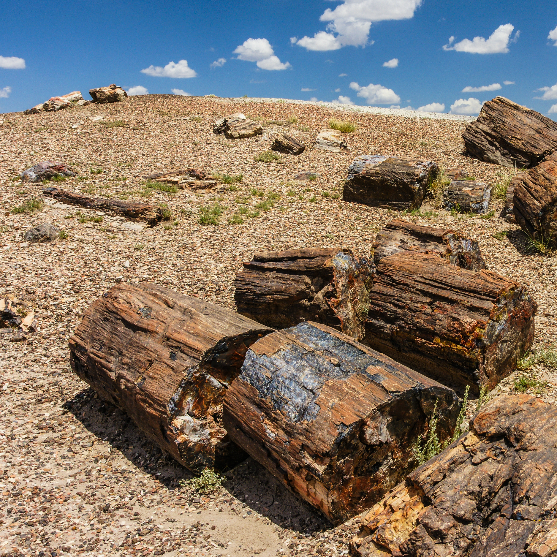 #161: Mailbag: Petrified Forest National Park and More!