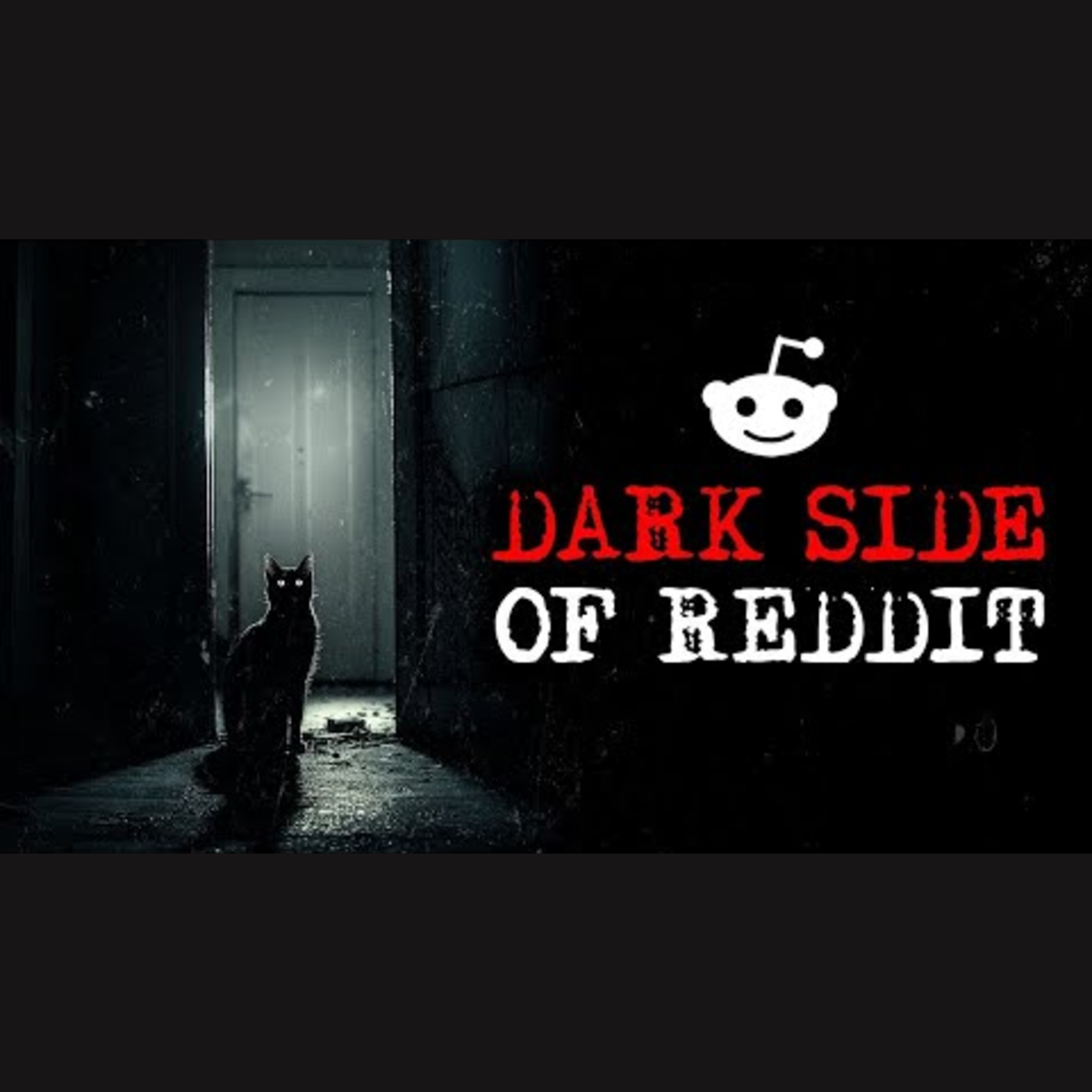 Volume 262: Disturbing True Stories From Reddit episode artwork