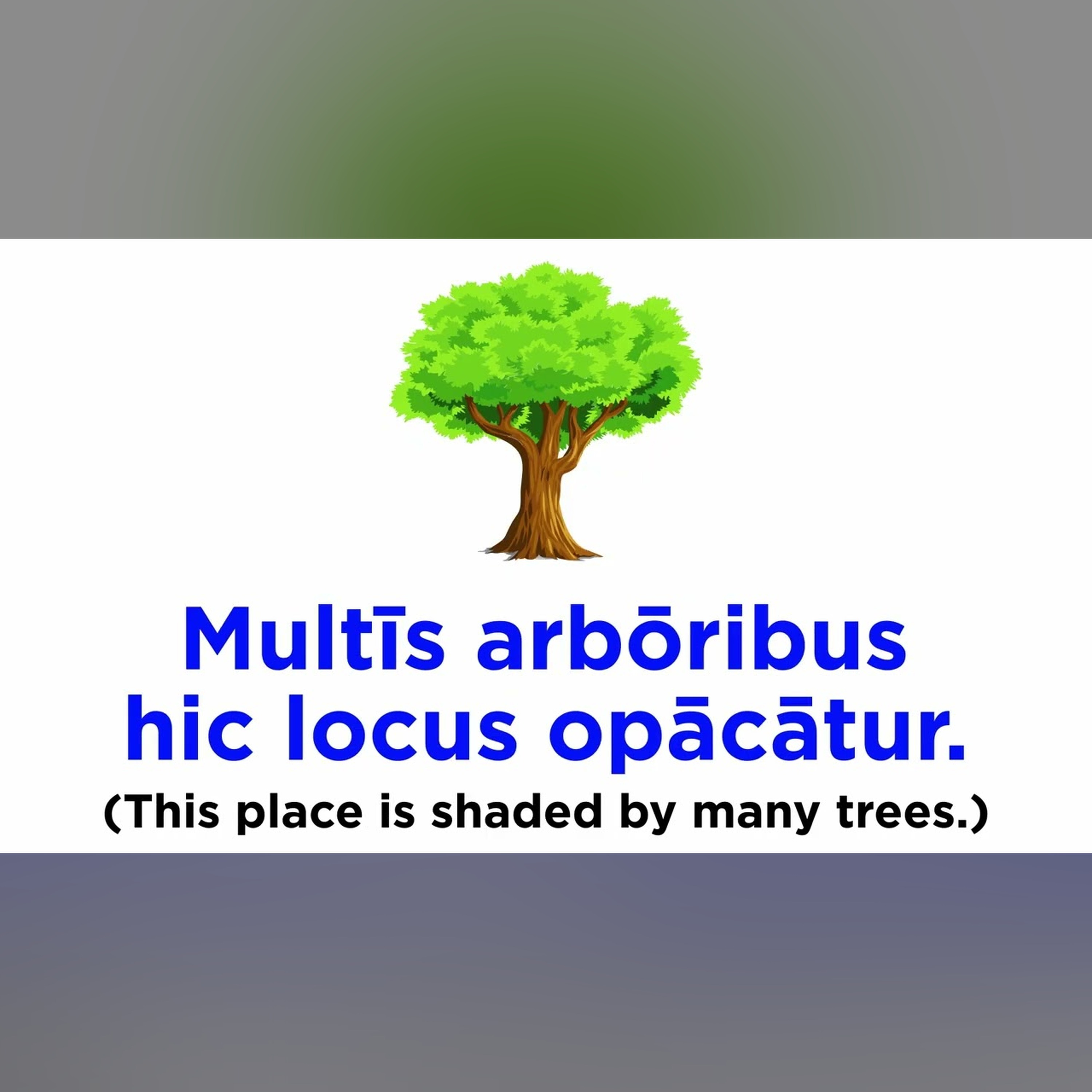Ablative of Agent (Ablativus Auctoris)
