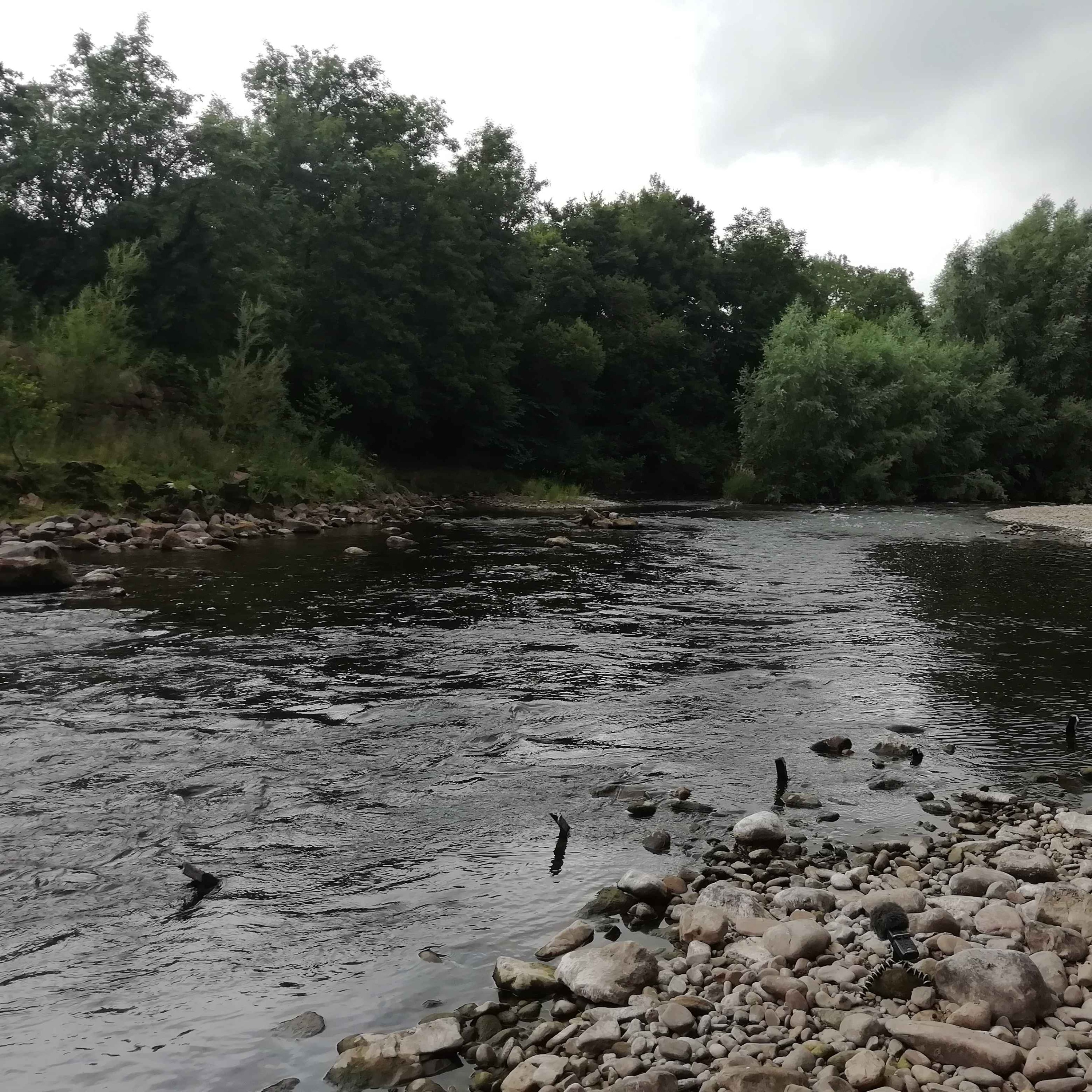 Sound Escape 76: relax to the lullaby of a Welsh river