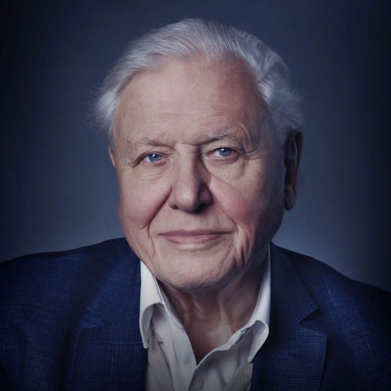 The Business of Film: Ocean with David Attenborough, The Wedding Banquet & Assessment episode artwork