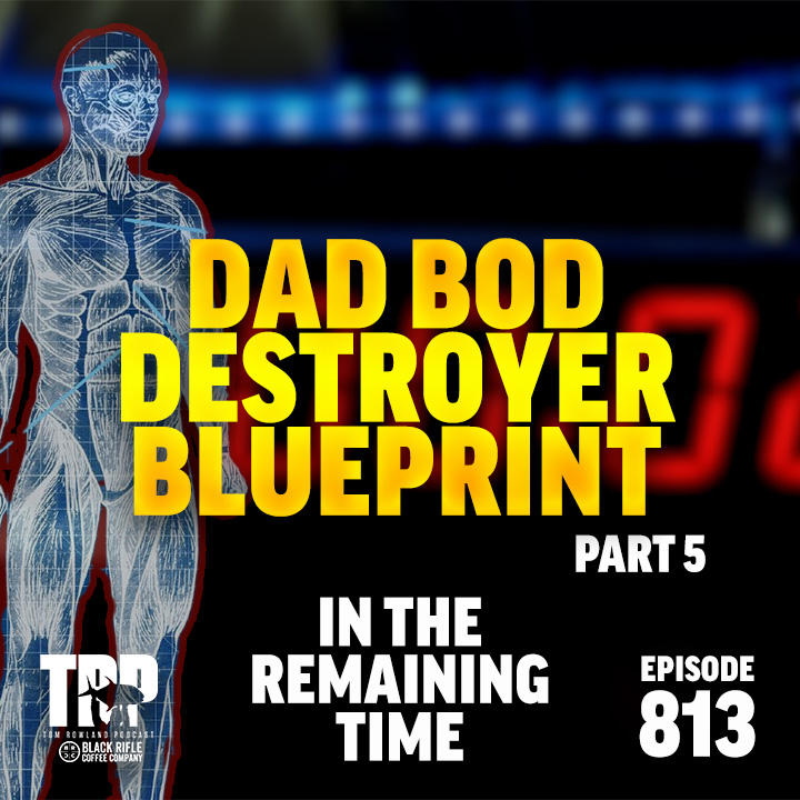 Dad Bod Destroyer Blueprint - IN THE REMAINING TIME