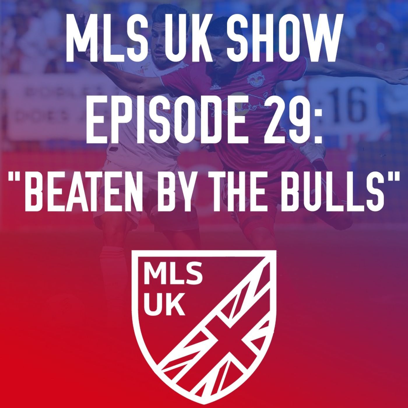 Episode 29: Beaten by The Bulls episode artwork