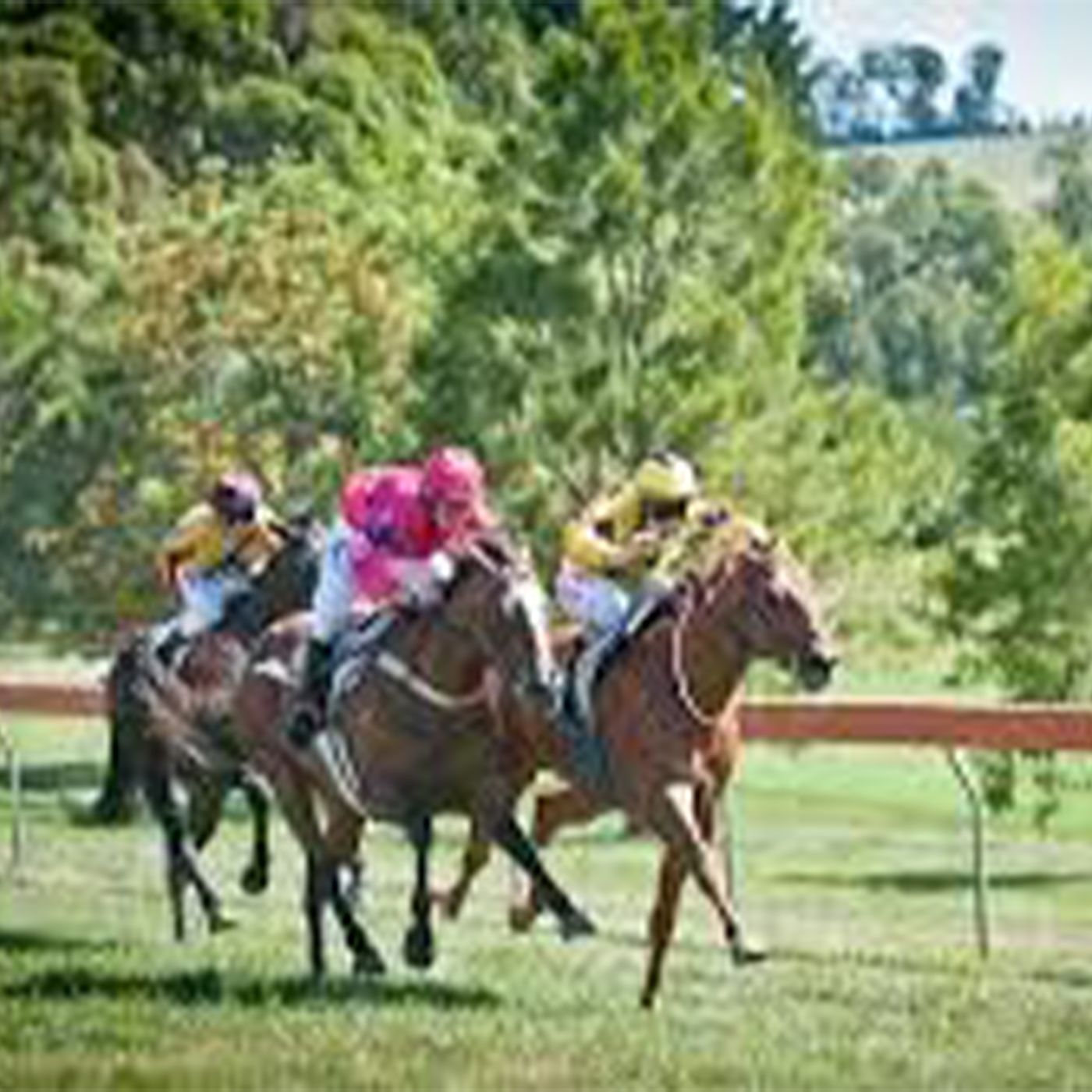 Drouin Racing Club's Greg Cole chats to Andrew Kuuse episode artwork