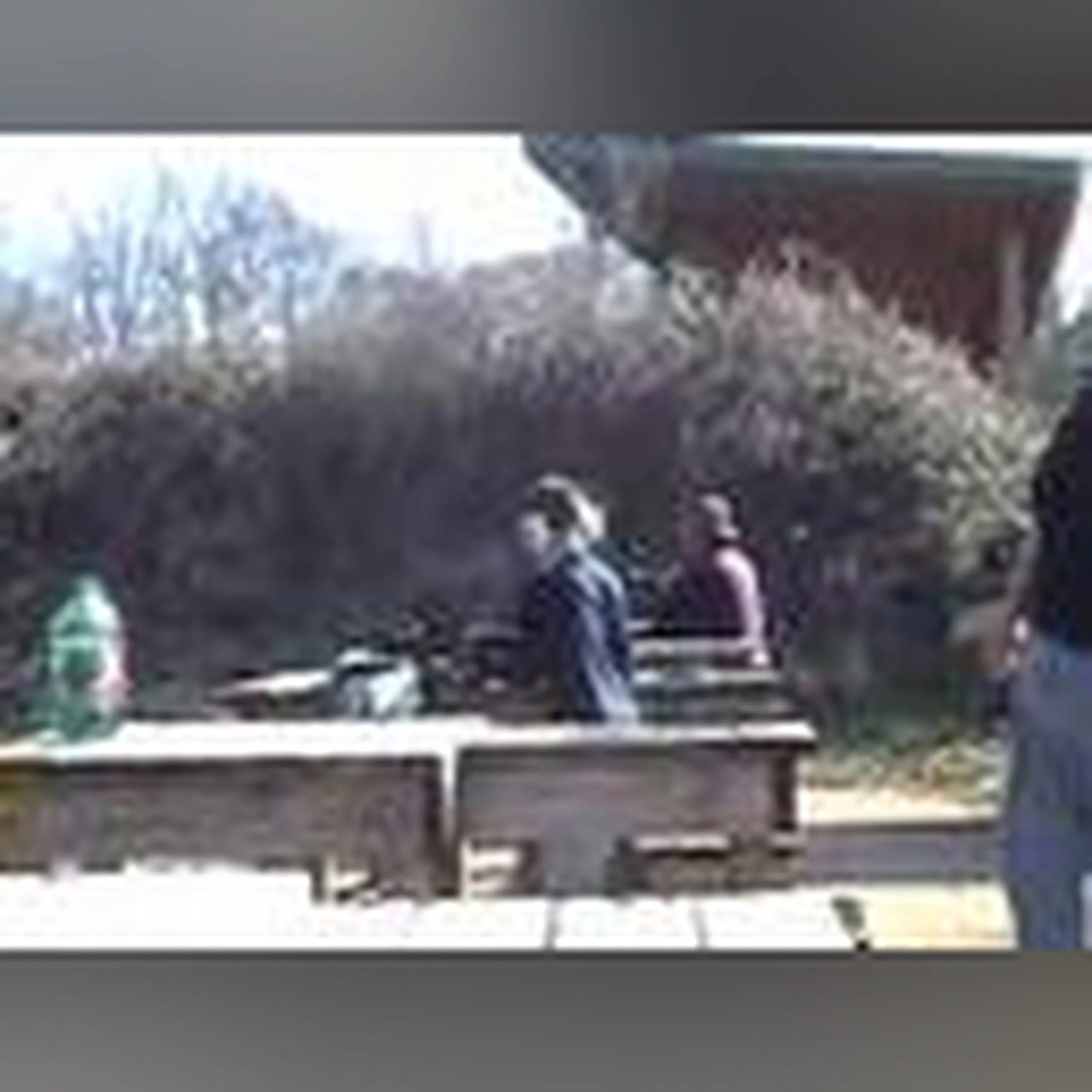 Firearm Safety - 9 year old sharpshooter