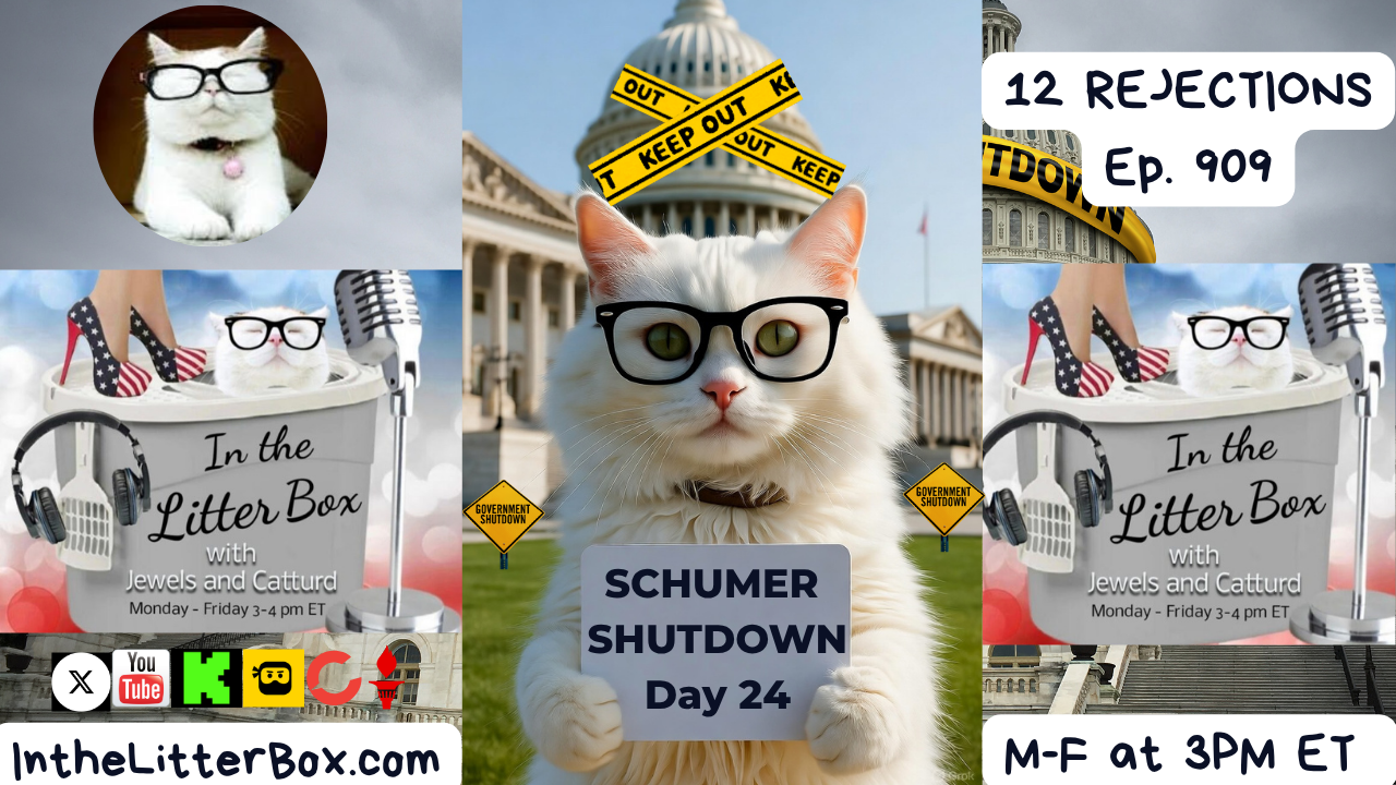 12 REJECTIONS | In the Litter Box w/ Jewels & Catturd – Ep. 909 – 10/24/2025