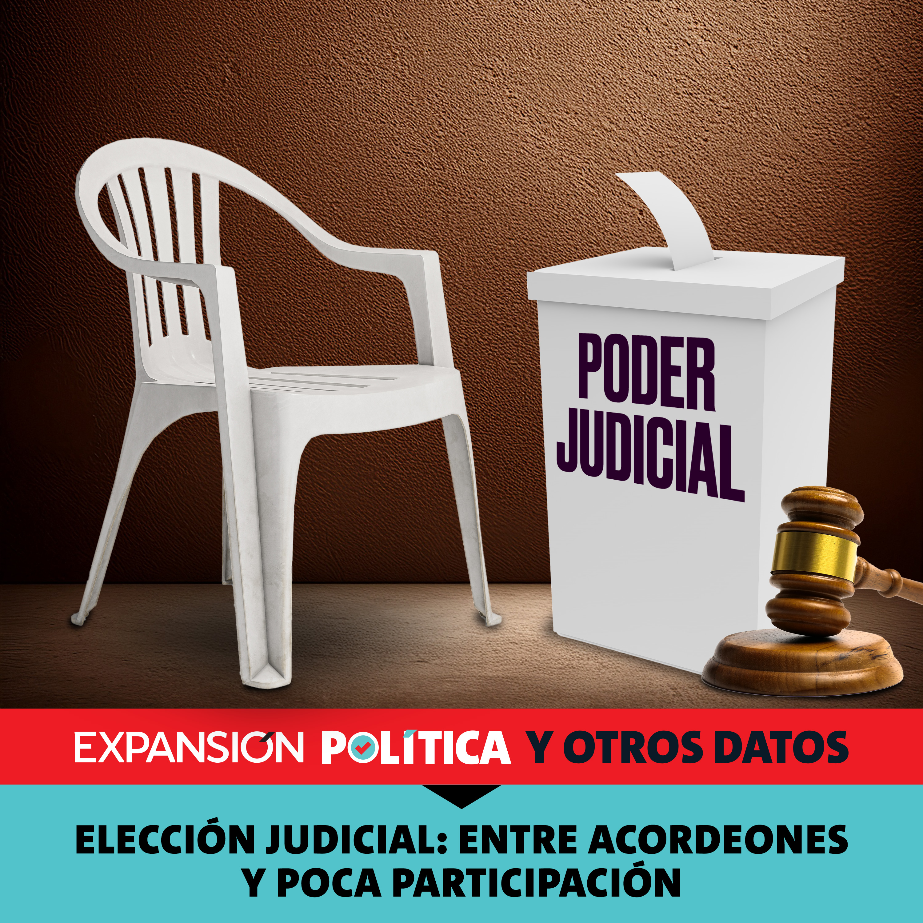 Elección judicial: entre acordeones y poca participación | Episodio 206
