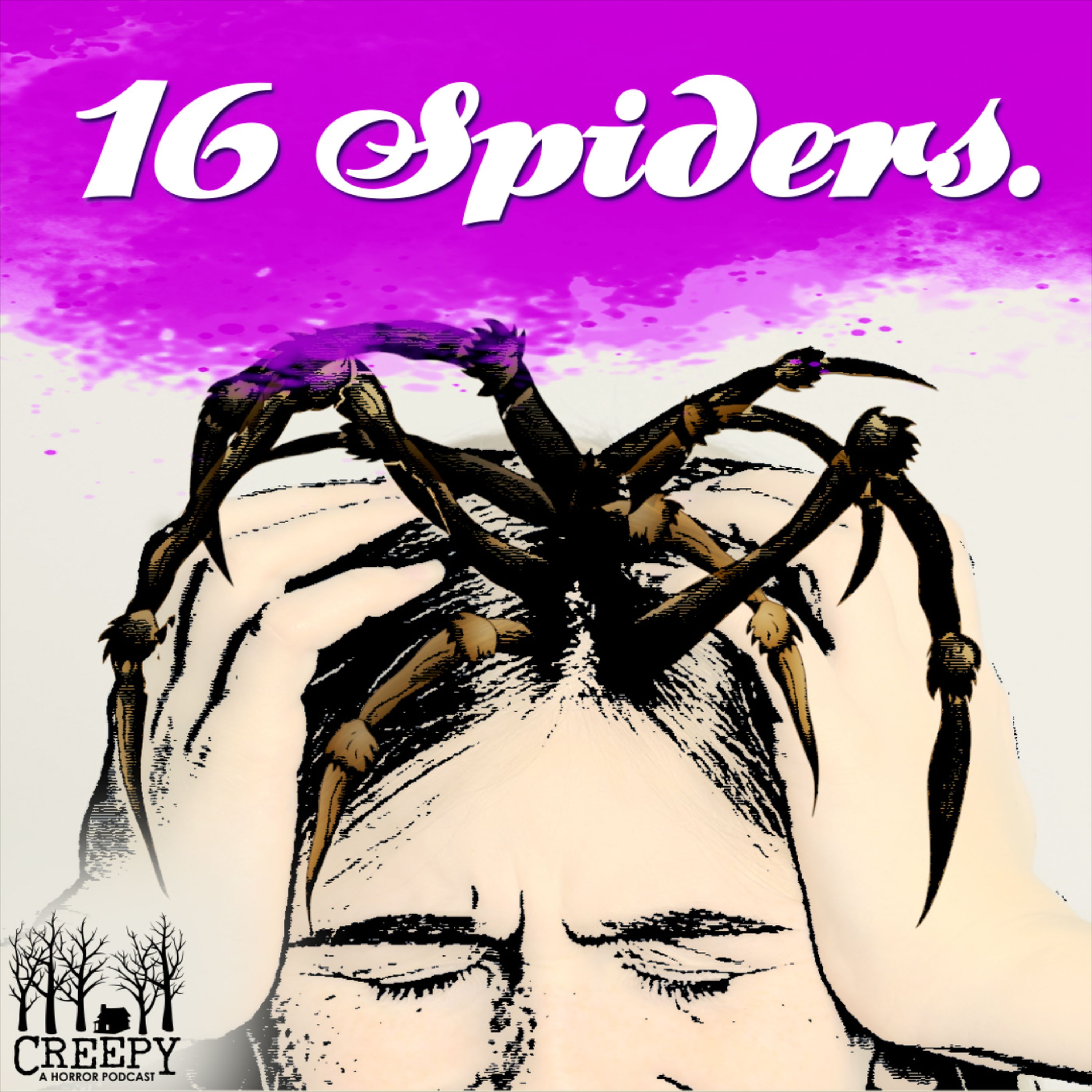 16 Spiders
